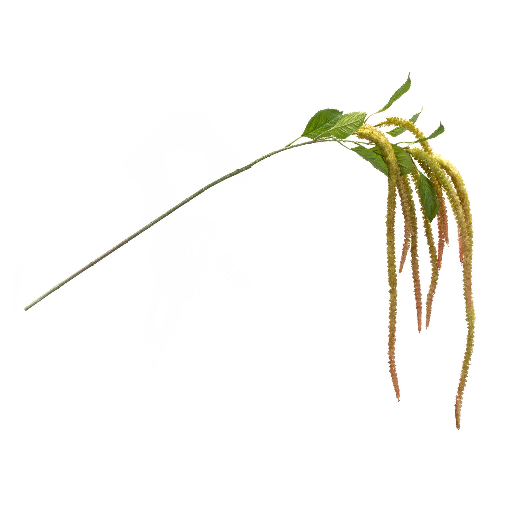 53.25&#x22; Green Amaranthus Floral Stems, 4ct.