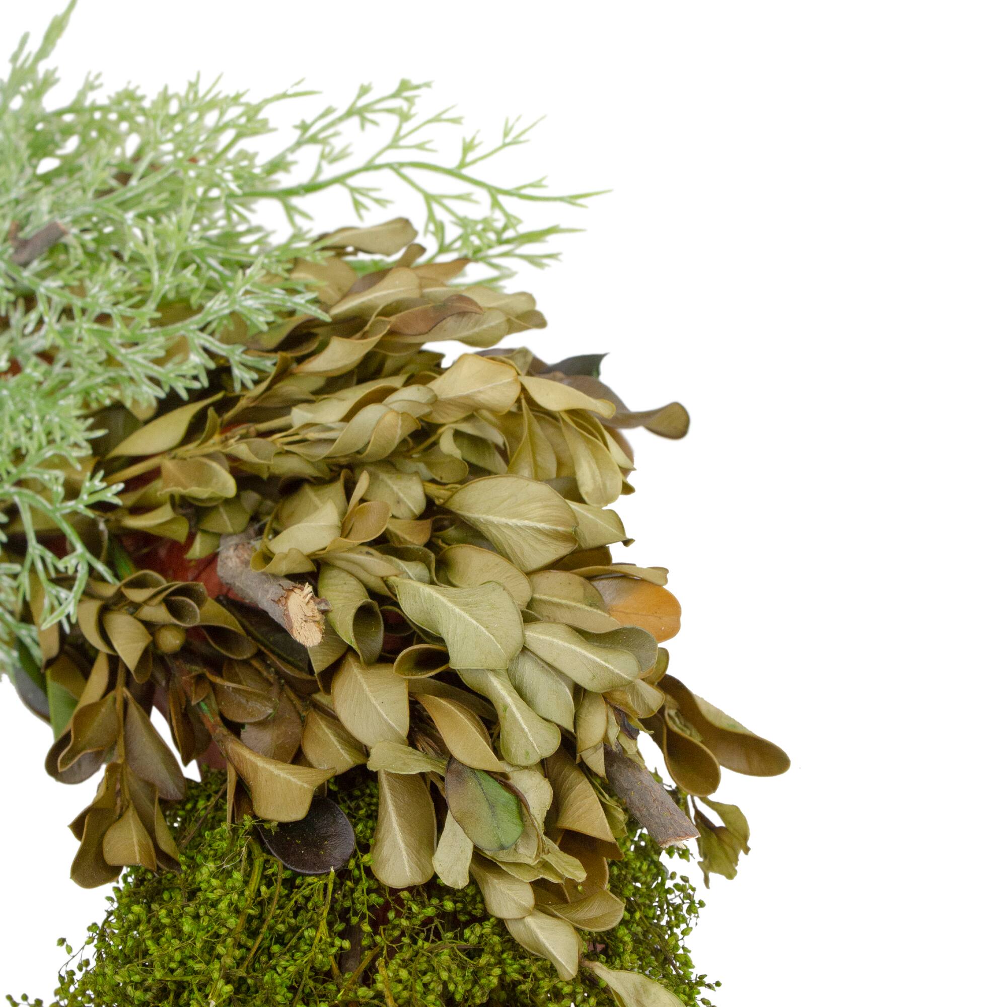 14&#x22; Green Cedar Succulent &#x26; Day Grass Artificial Spring Wreath