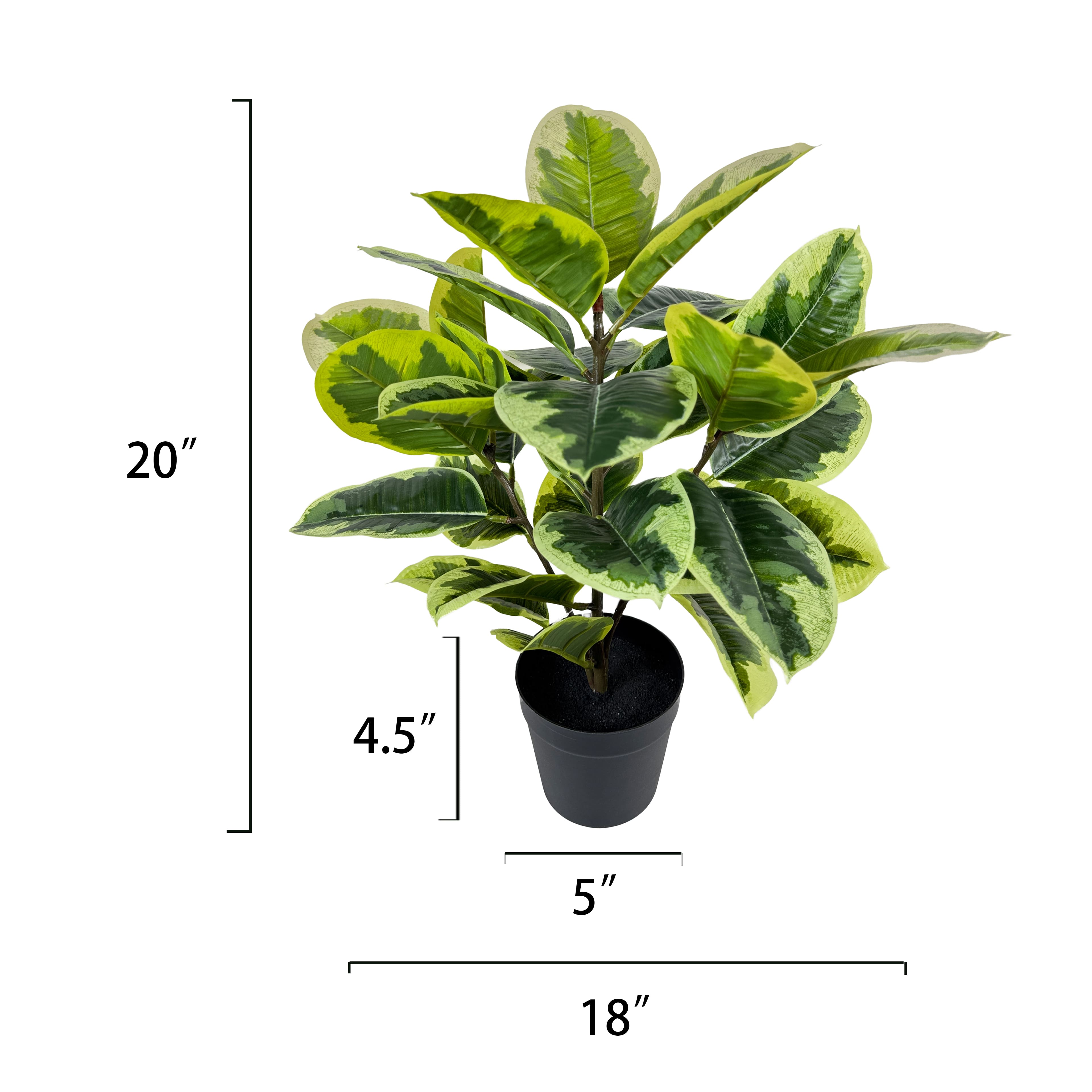 20&#x22; Ficus Plant by Ashland&#xAE;
