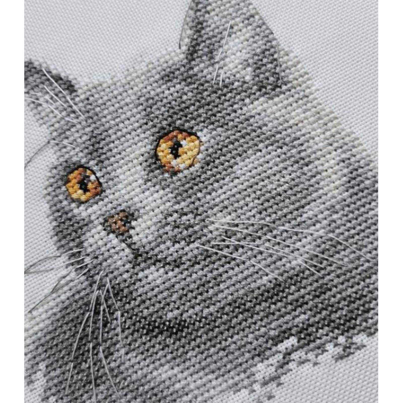 Alisa British Cat Cross Stitch Kit