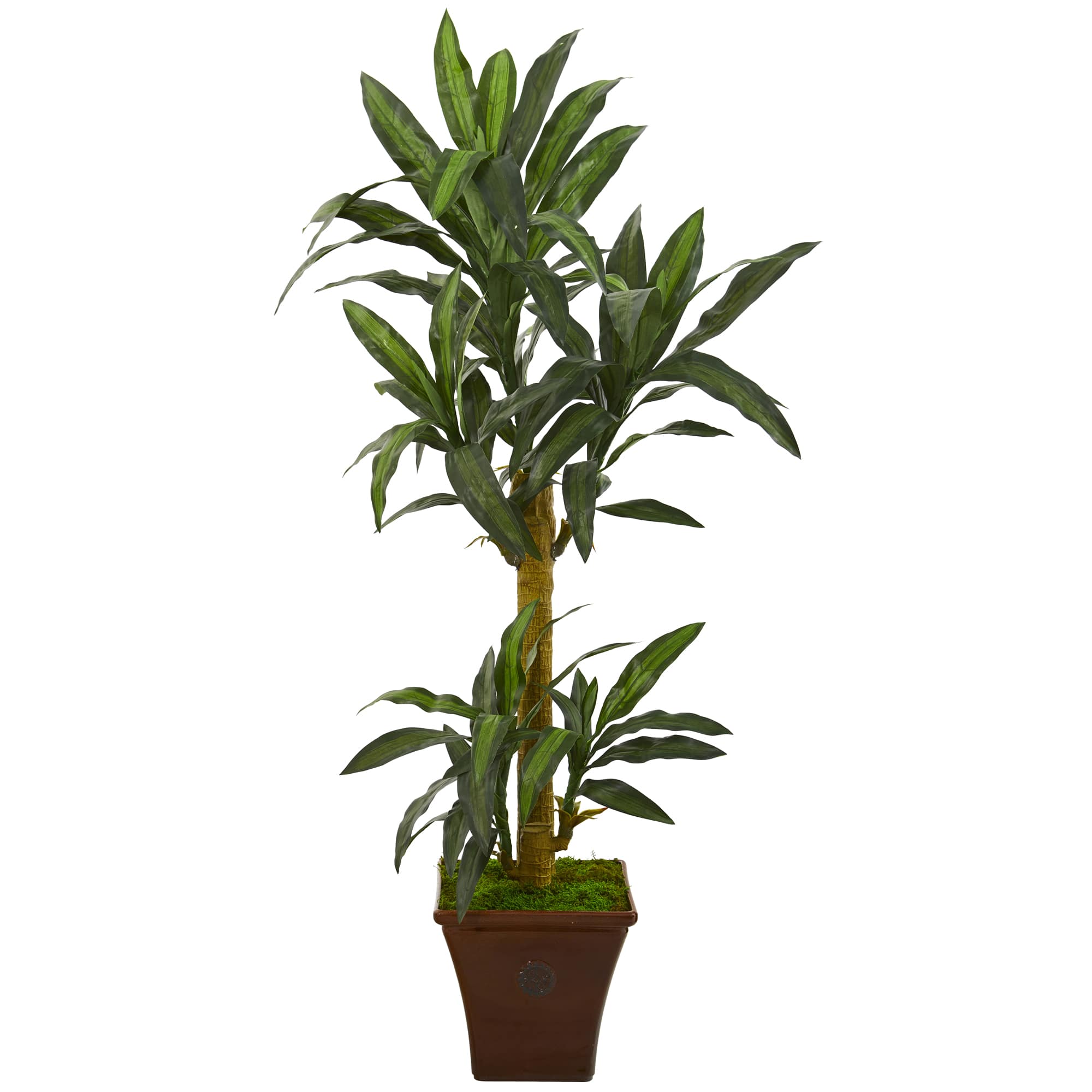 5ft. Yucca Plant in Brown Planter