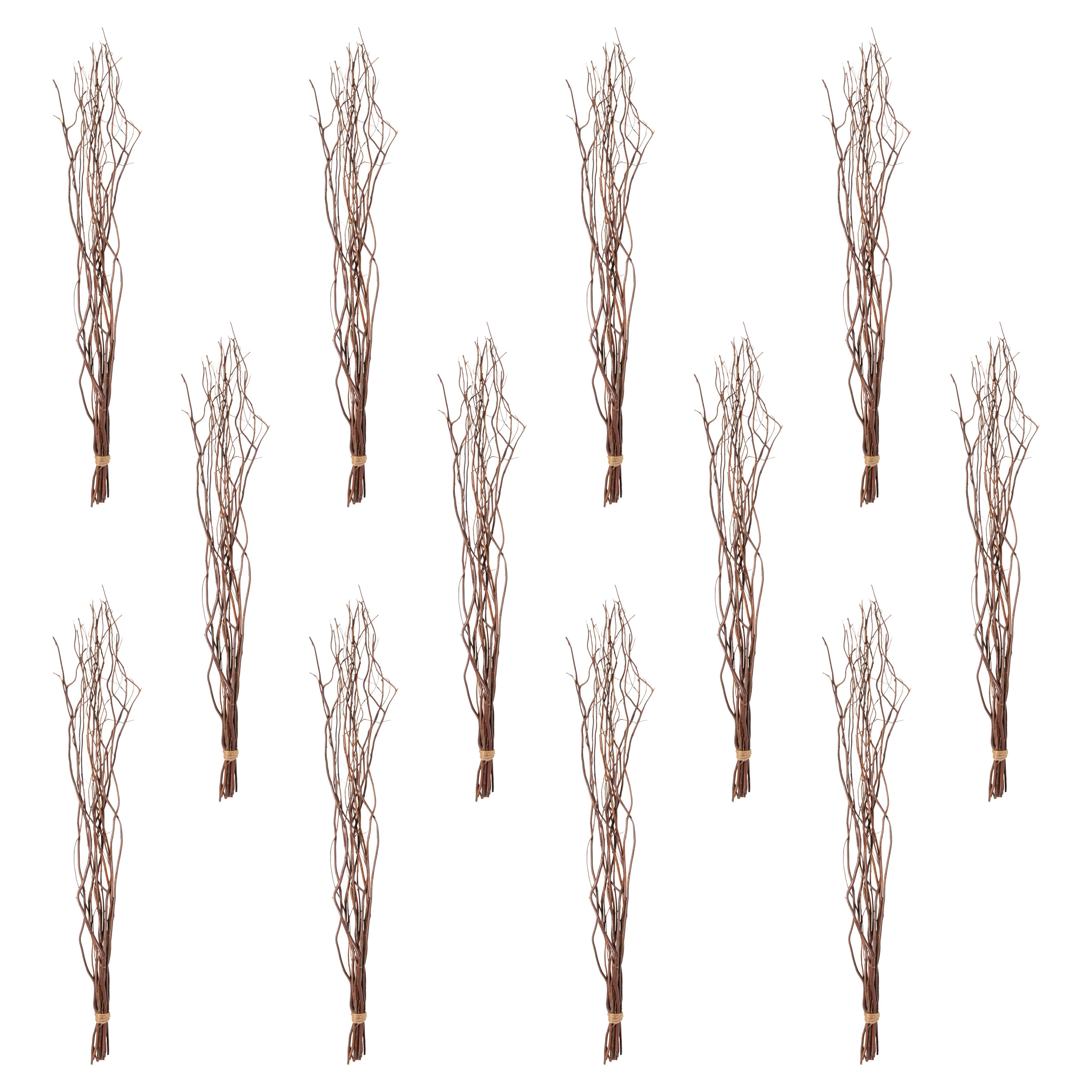 12 Pack: Natural Curly Willow by Ashland®