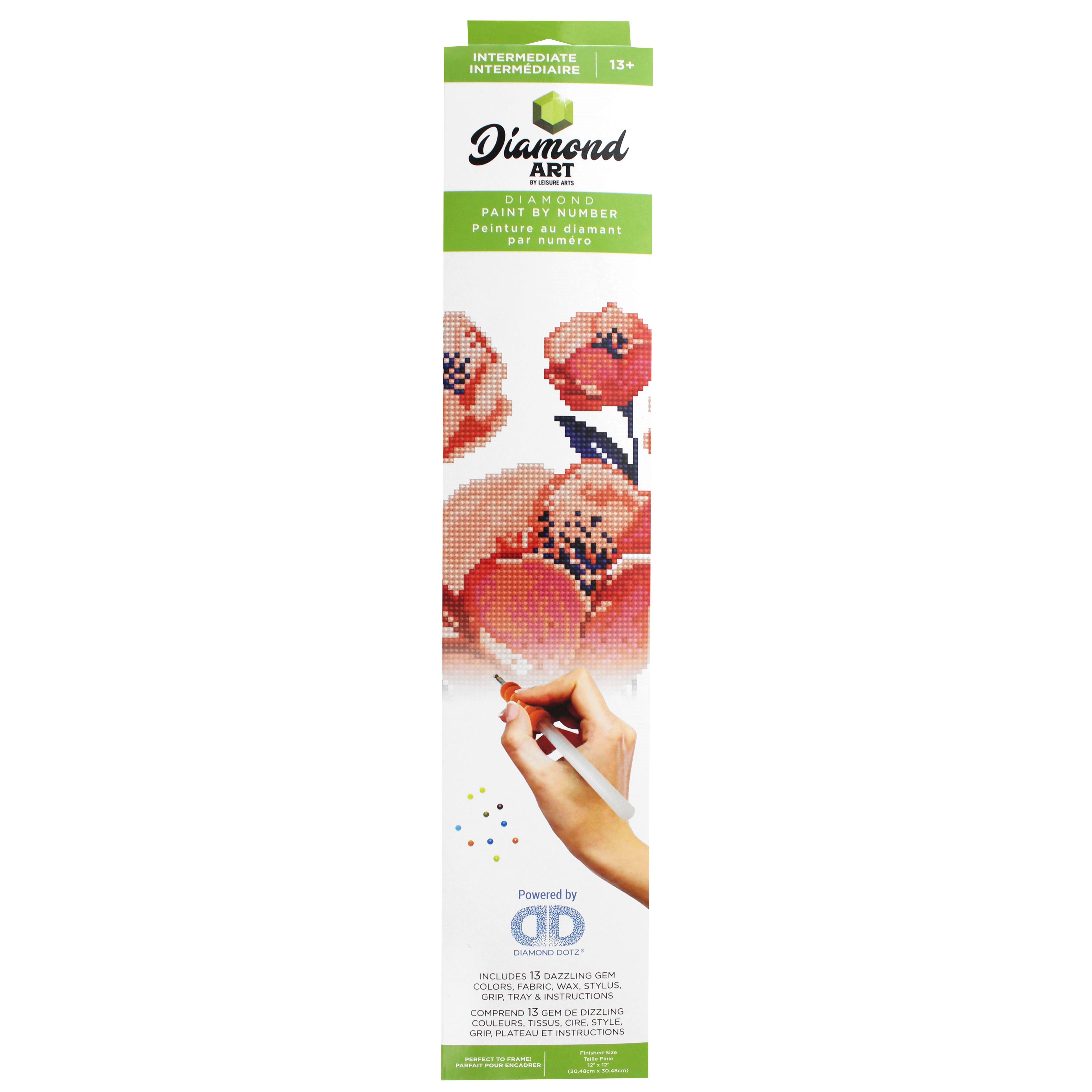 Diamond Art Intermediate Poppies Paint by Number Kit