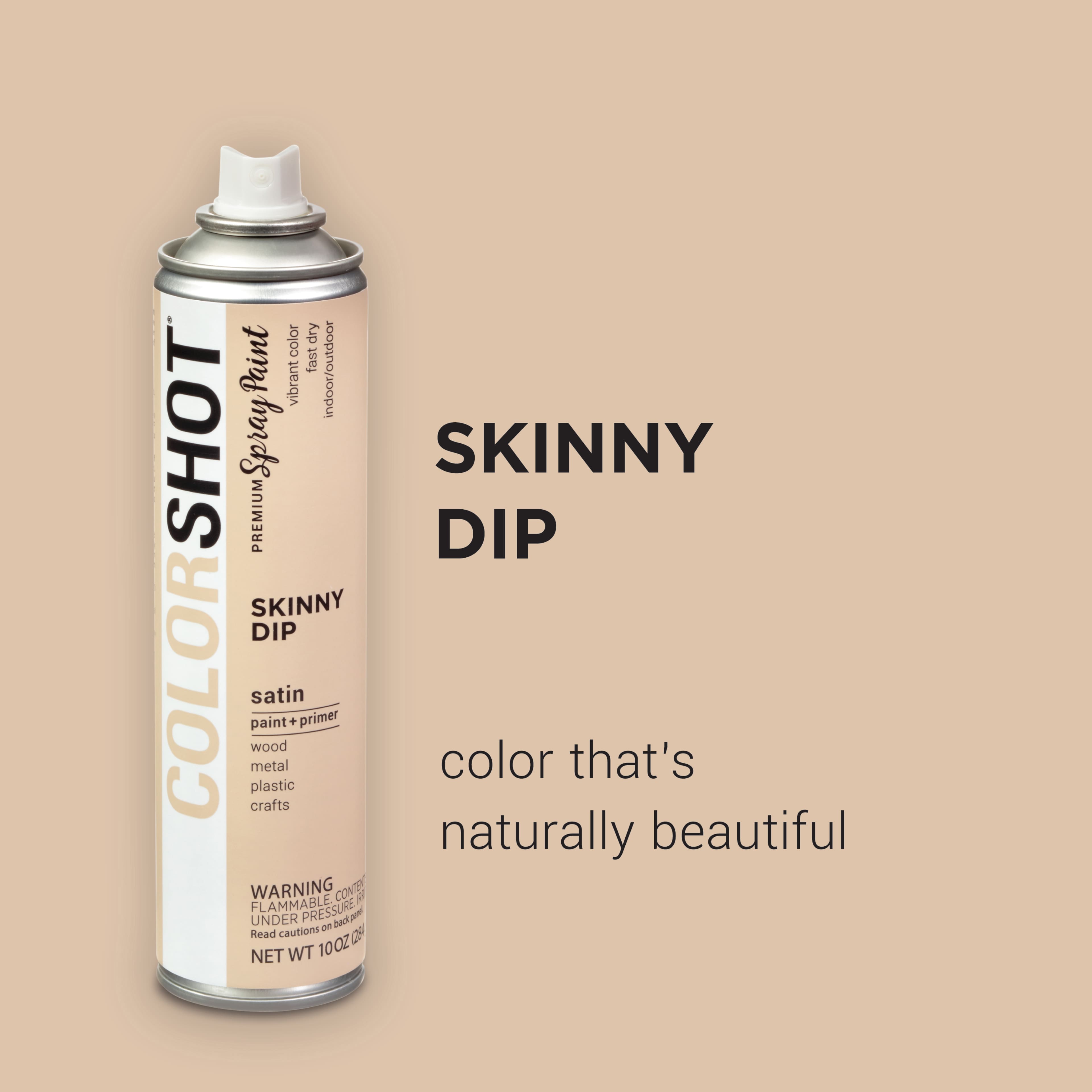 COLORSHOT&#xAE; Premium Satin Spray Paint