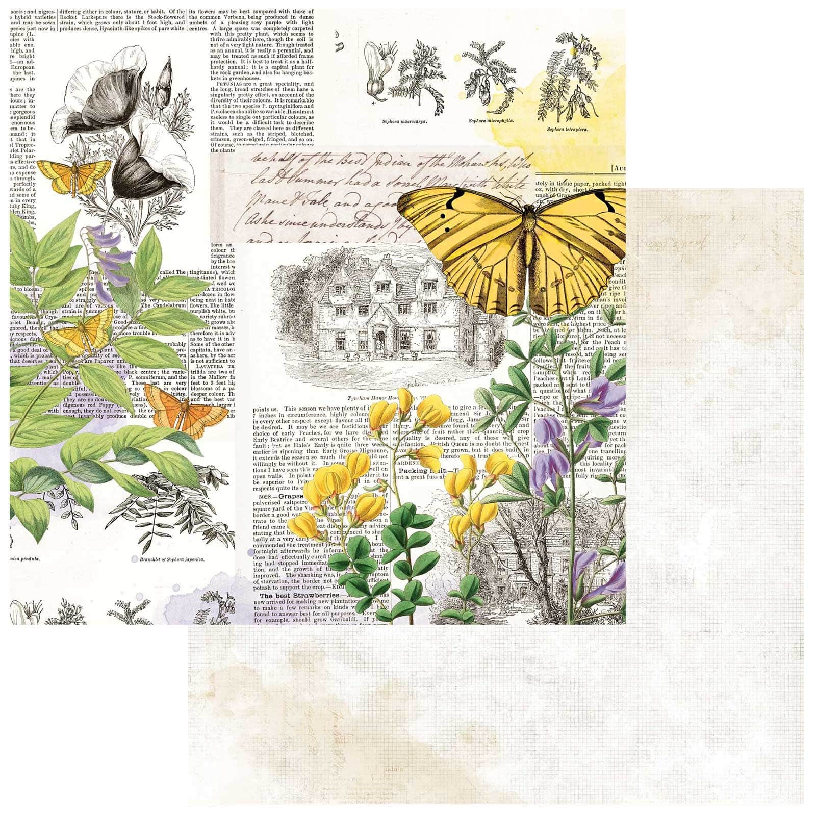 49 and Market Curators Botanical Collection Flutterology 12&#x22; x 12&#x22; Double-Sided Cardstock, 20 Sheets