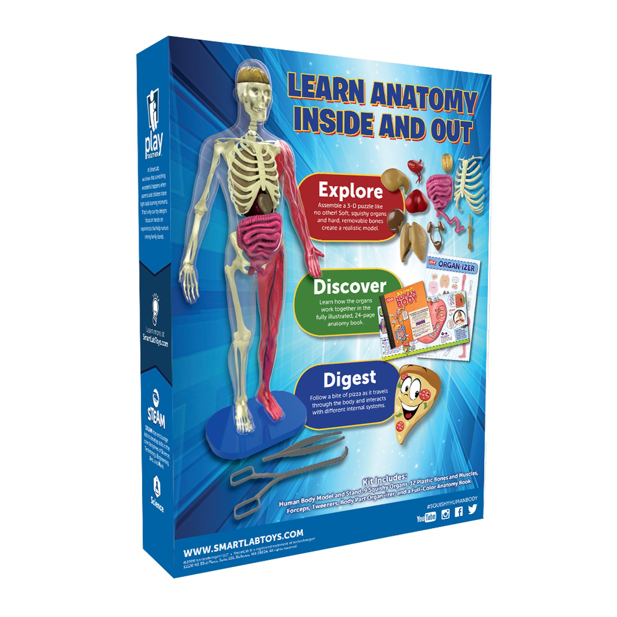 SmartLab® Squishy Human Body Kit Michaels