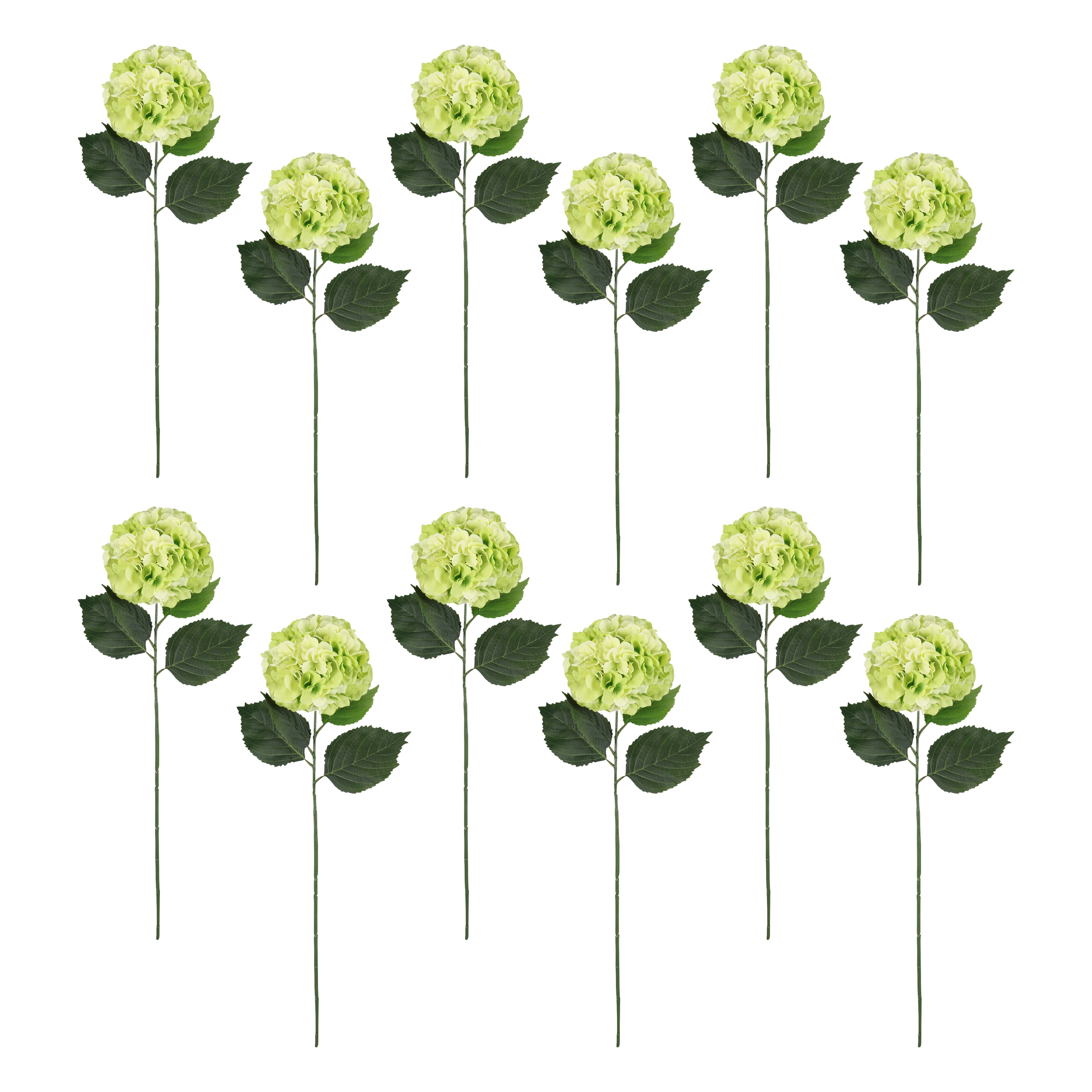 12 Pack: Green Hydrangea Stem by Ashland®