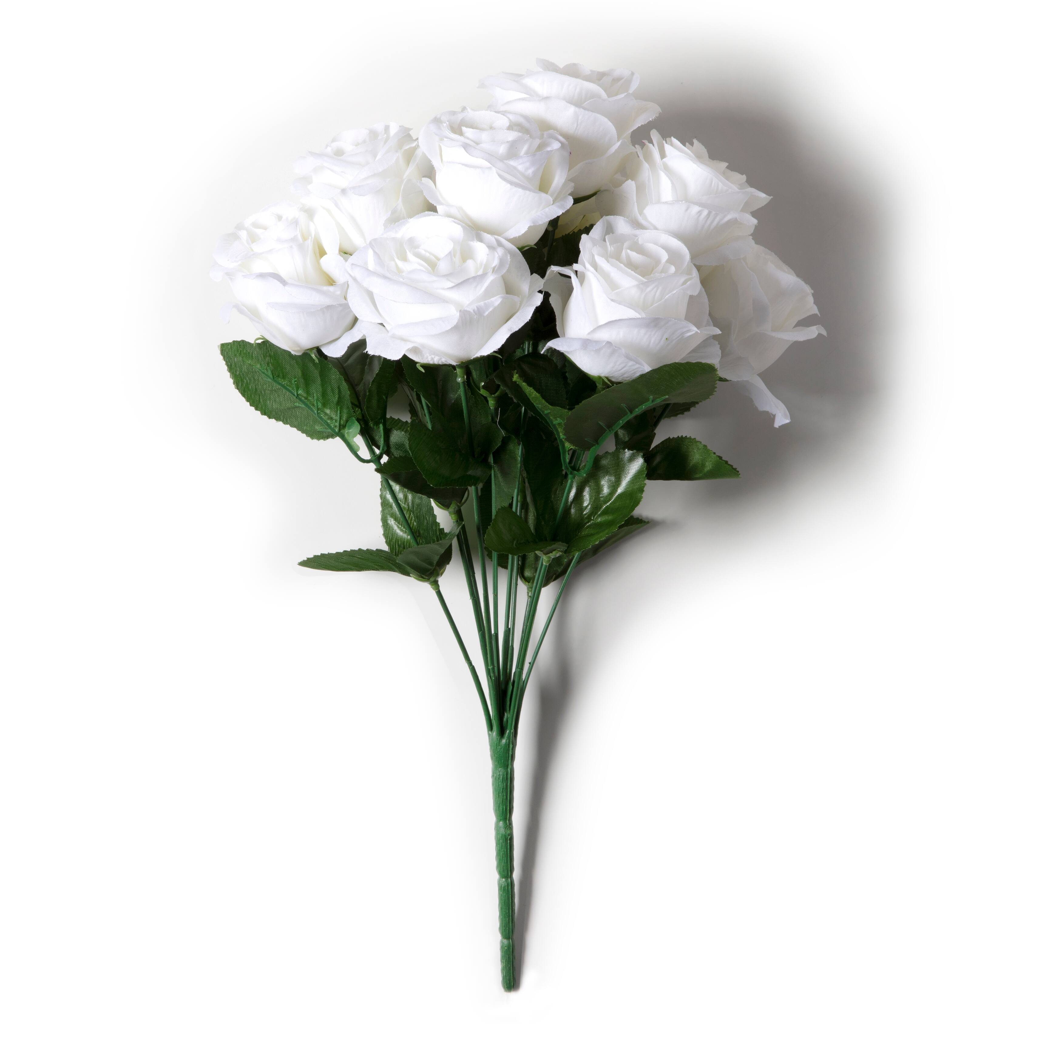 12 Pack: Cream Rose Bush by Ashland®