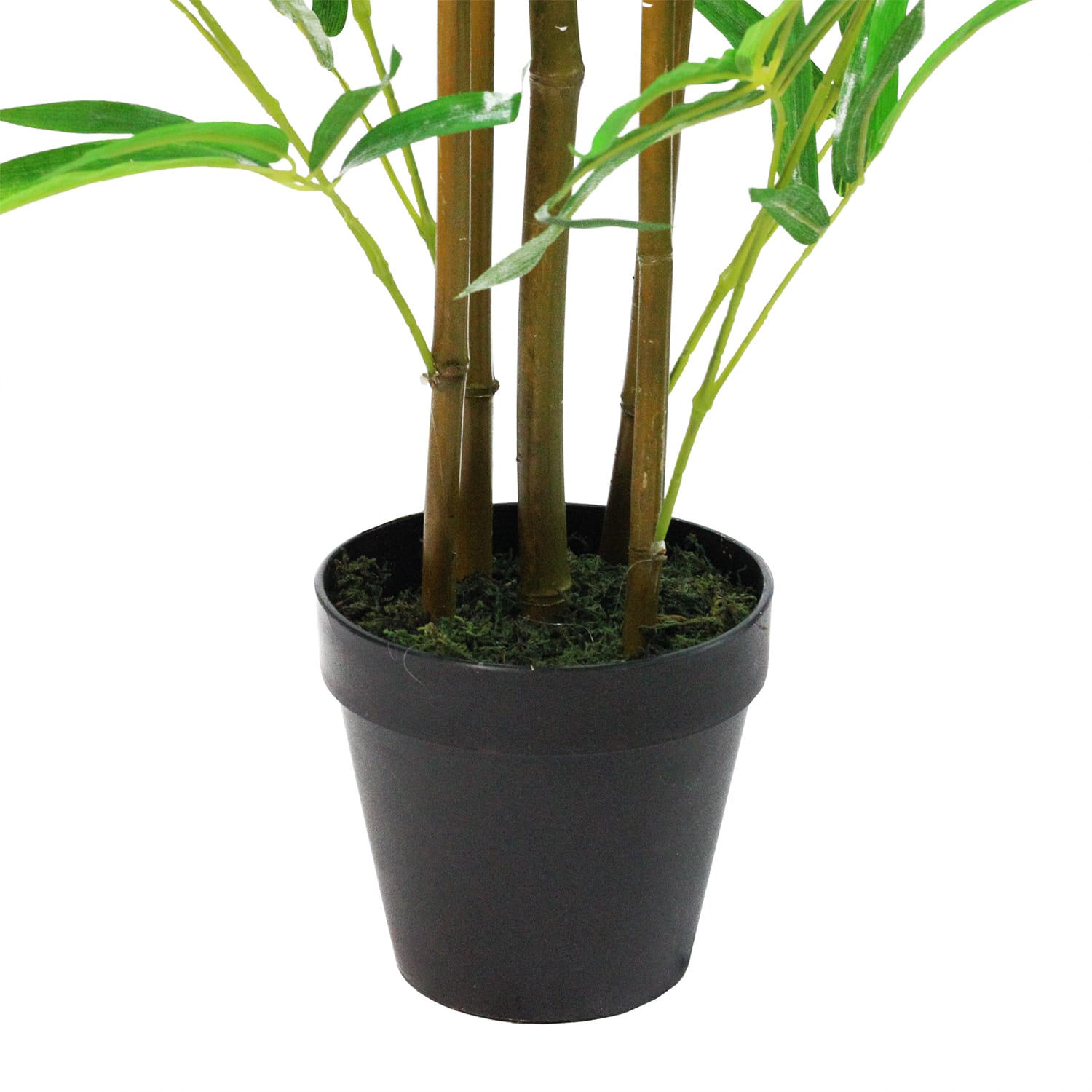 4ft. Two-Tone Green Potted Bamboo Plant
