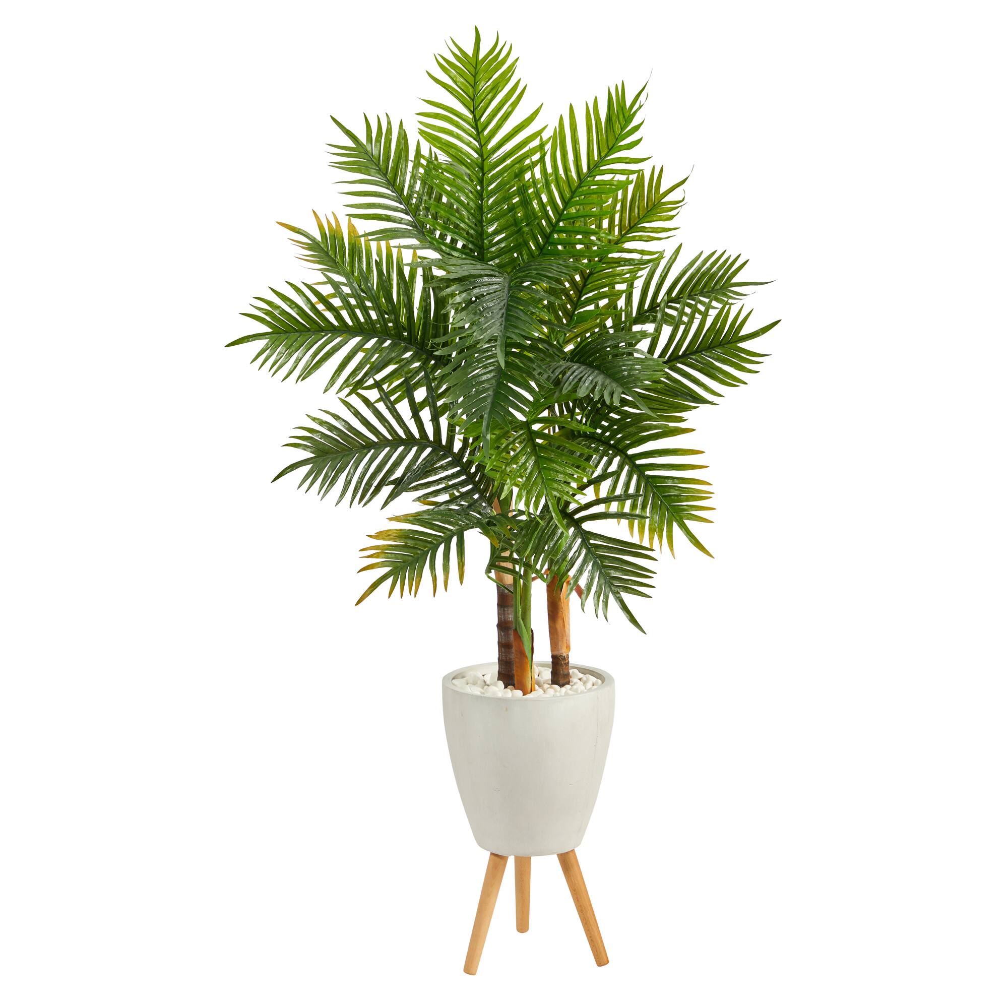 5ft. Areca Palm Tree in White Planter with Stand