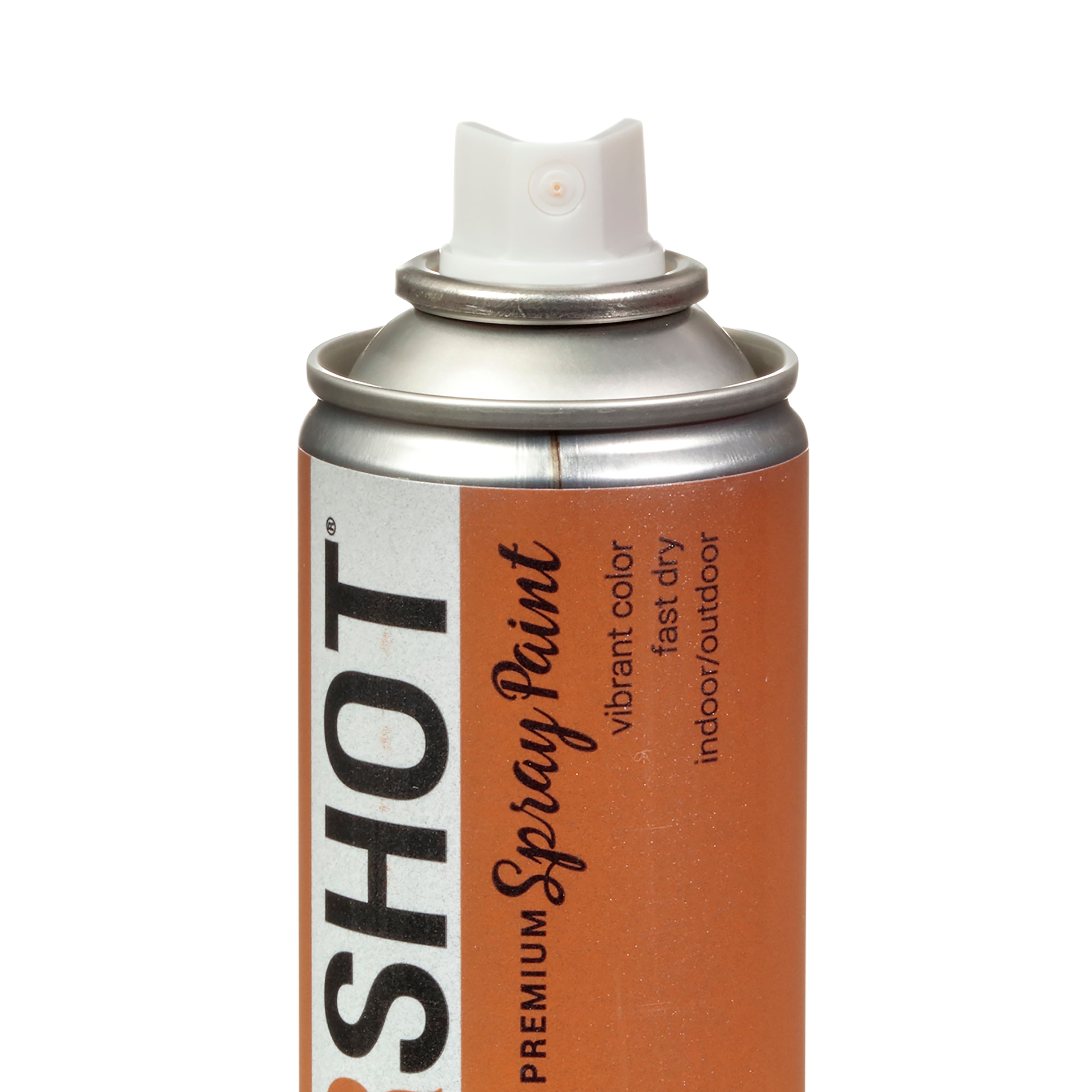 COLORSHOT® Premium Metallic Spray Paint