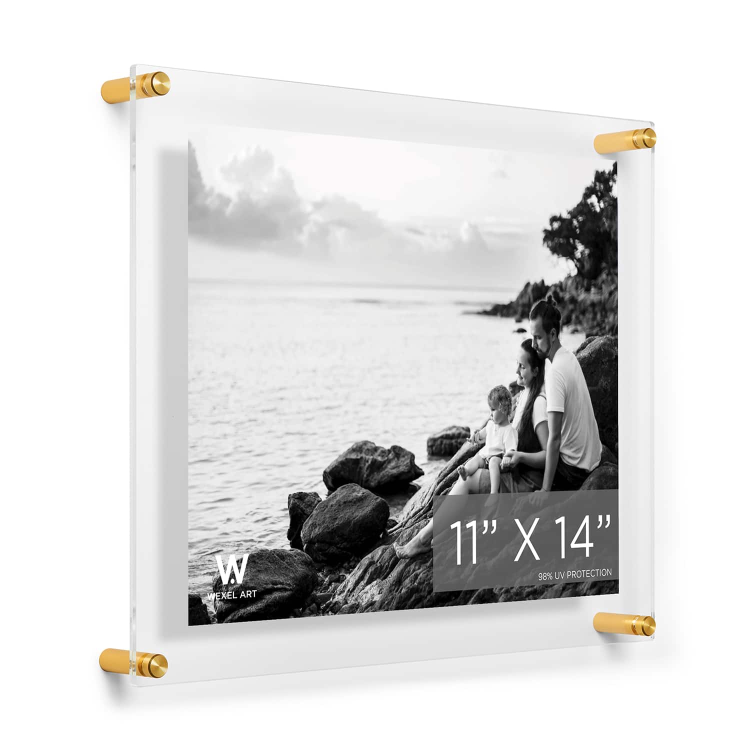 Wexel Art Double Panel Clear Acrylic Floating Wall Frame with Gold Hardware