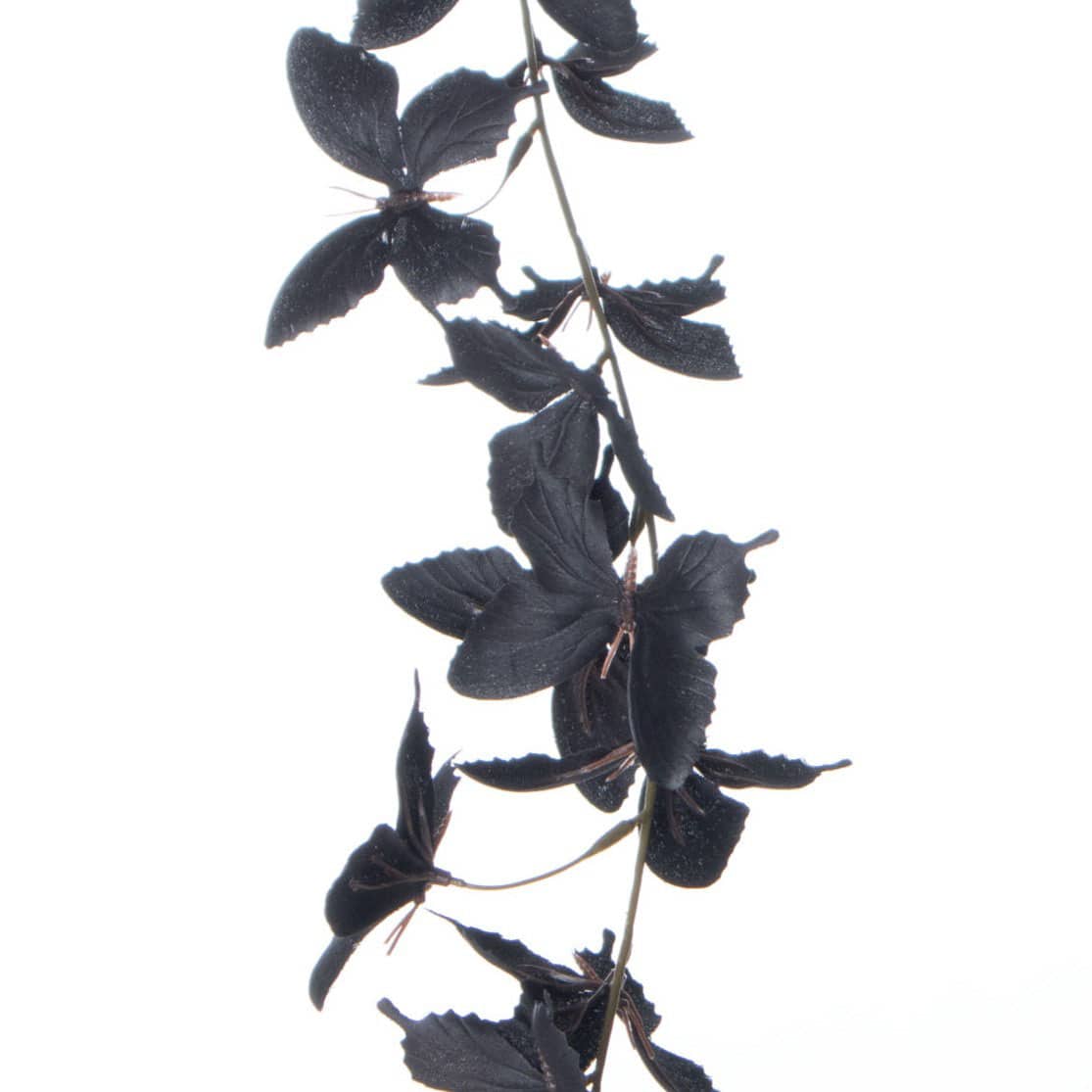 5ft. Black Butterfly Coiled Garland by Ashland®