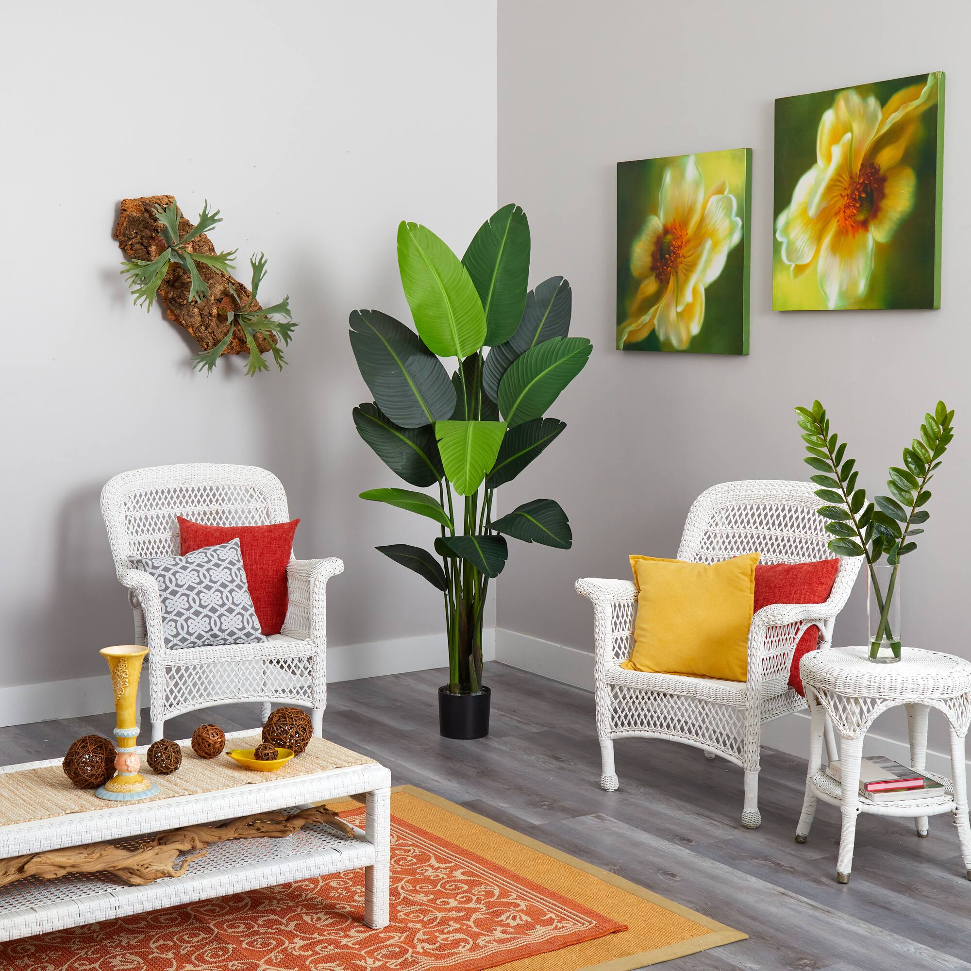 6ft. Potted Travelers Palm Tree