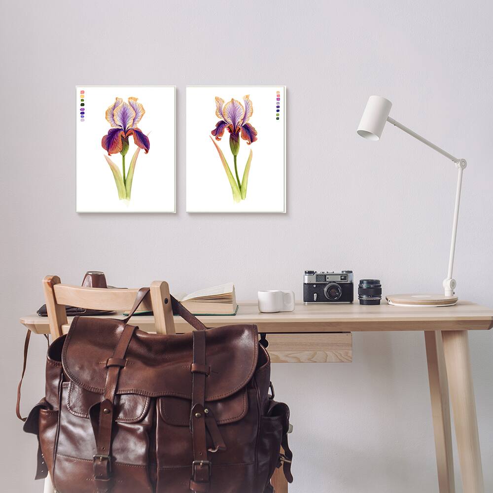 Stupell Industries Orange Purple Iris Flower with Color Key Canvas Wall Art