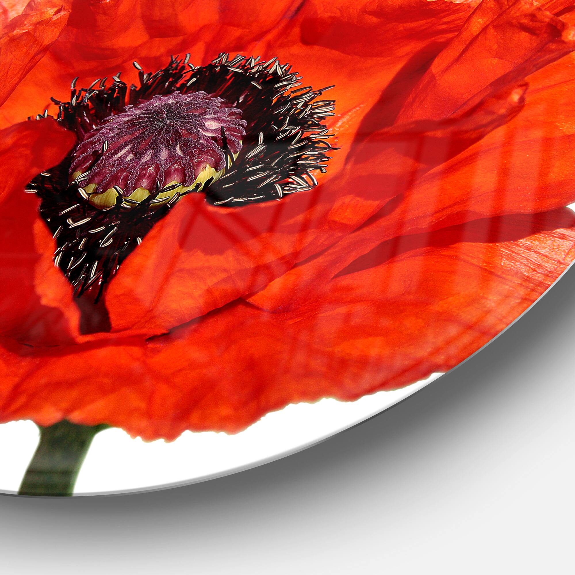 Designart - Red Poppy Blossom Close Up&#x27; Floral Metal Circle Wall Art