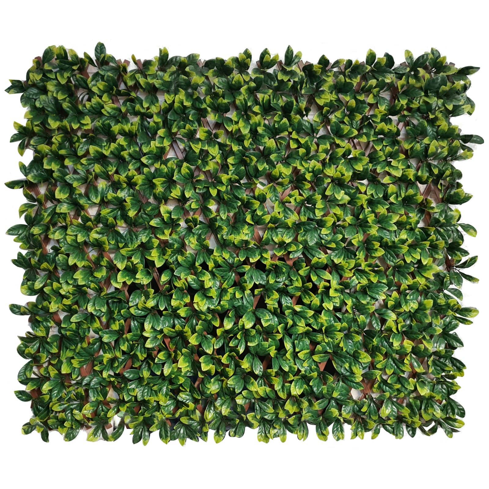 4ft. Expandable Lemon Leaf Lattice Screen