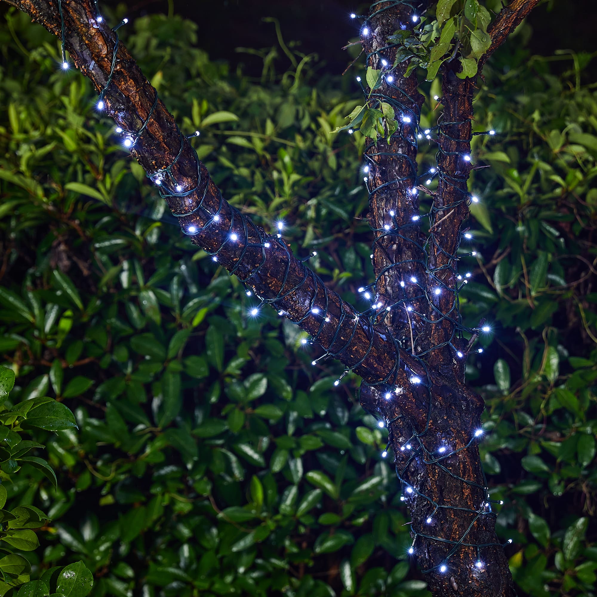 Glitzhome&#xAE; 22ft. Solar String Lights with 50 LEDs