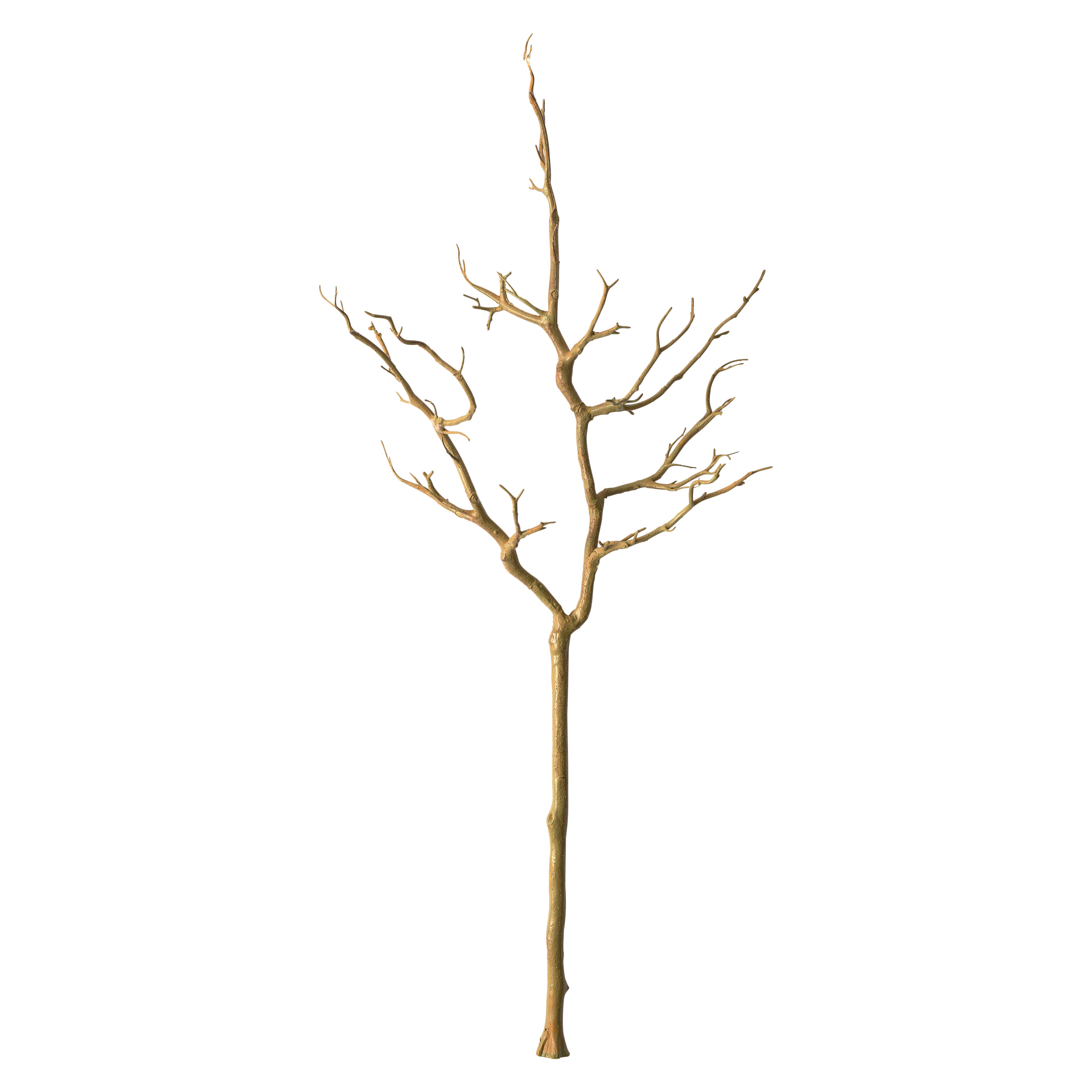 3ft. Bare Birch Branch by Ashland®