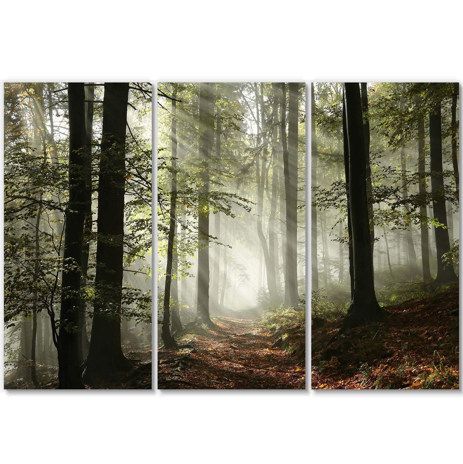 Designart - Light in Dense Fall Forest with Fog - Landscape Art Print Canvas