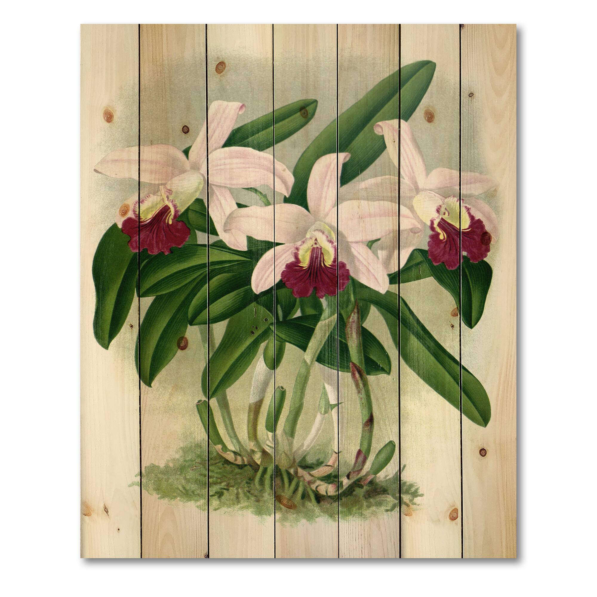 Designart - Vintage White Orchid Flower I - Traditional Print on Natural Pine Wood