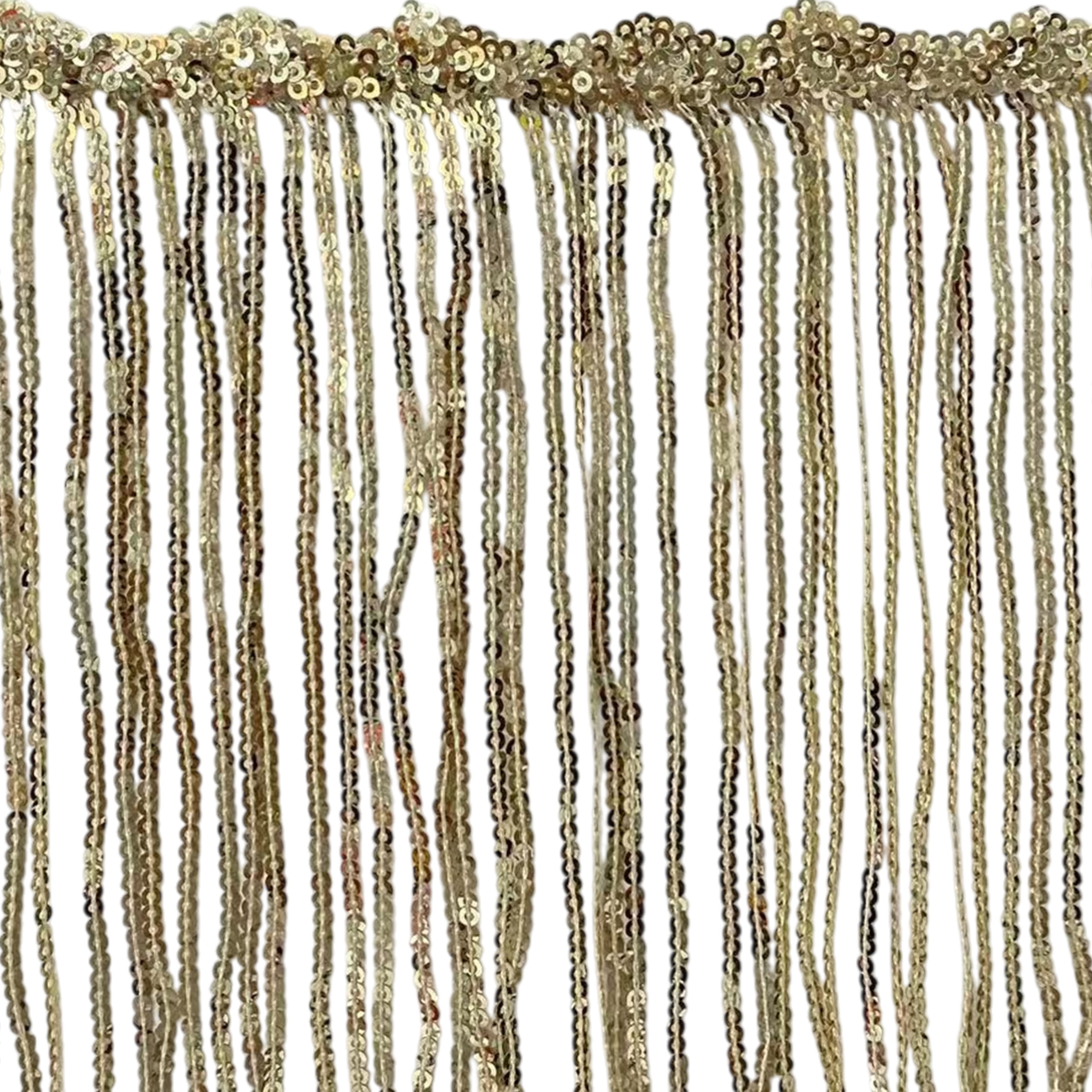 6.5&#x22; Sequin Fringe Trim by Celebrate It&#xAE;