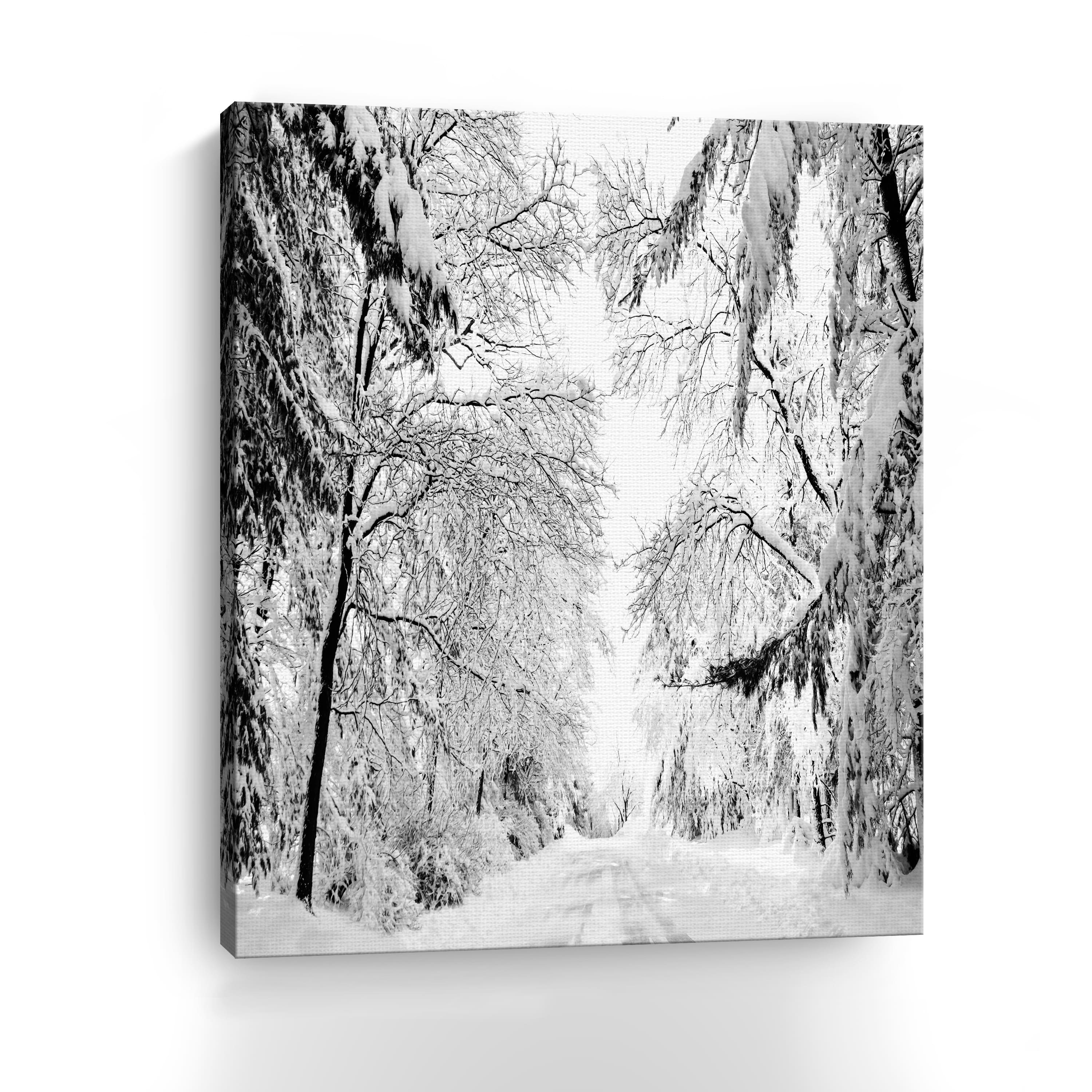 Wintery Dreams Path Canvas Giclee