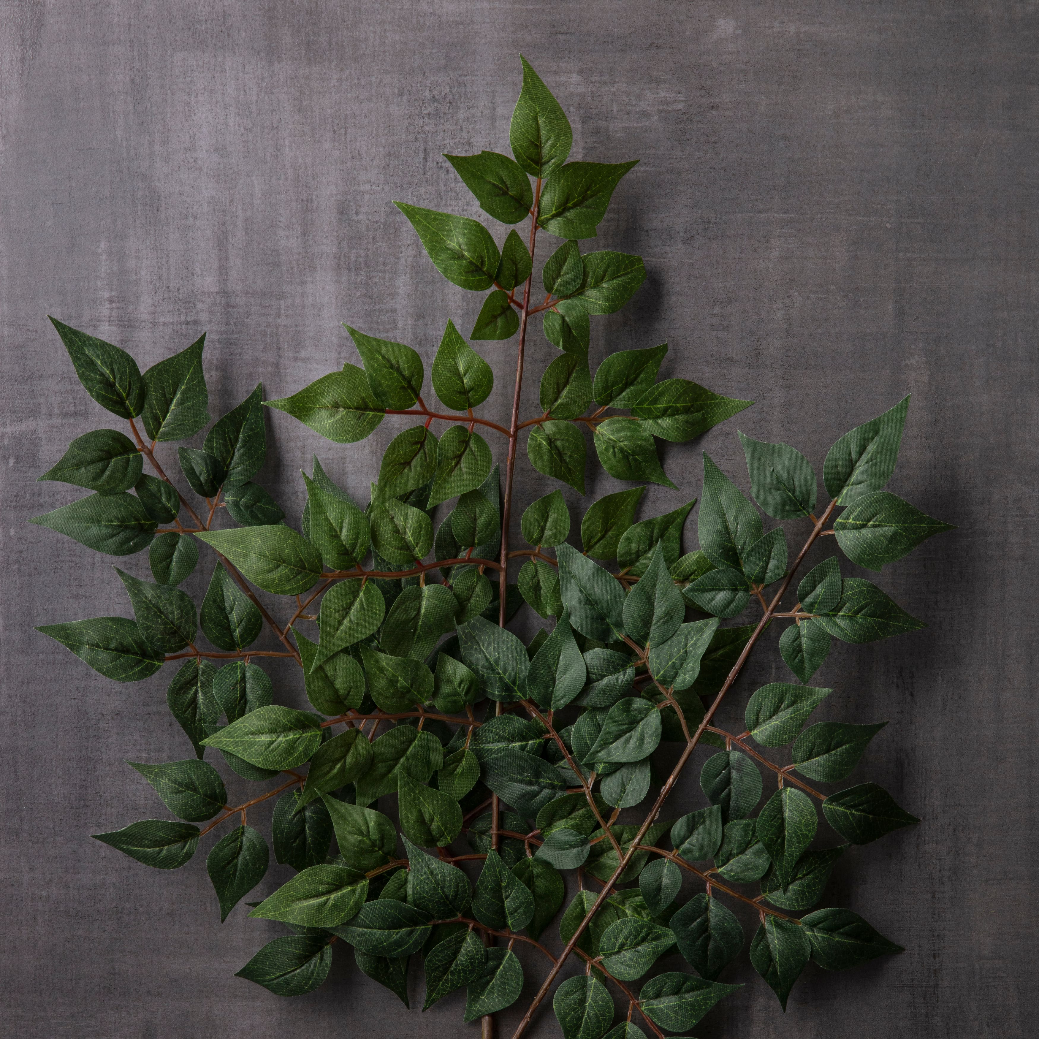 China Dollar Spray Floral Essentials by Ashland®