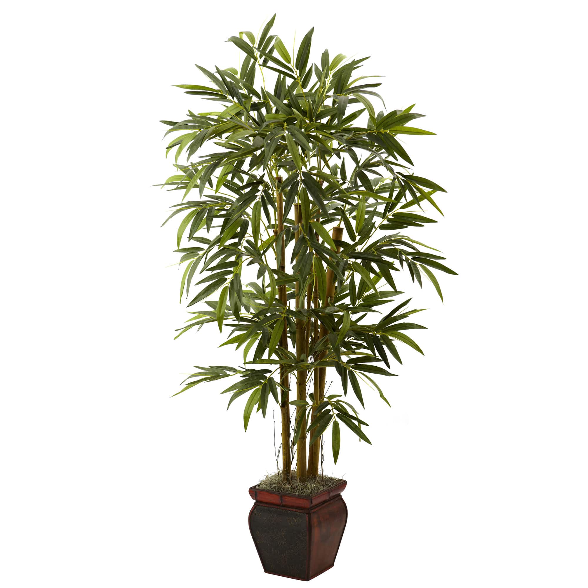 5.5ft. Bamboo Tree with Brown Planter