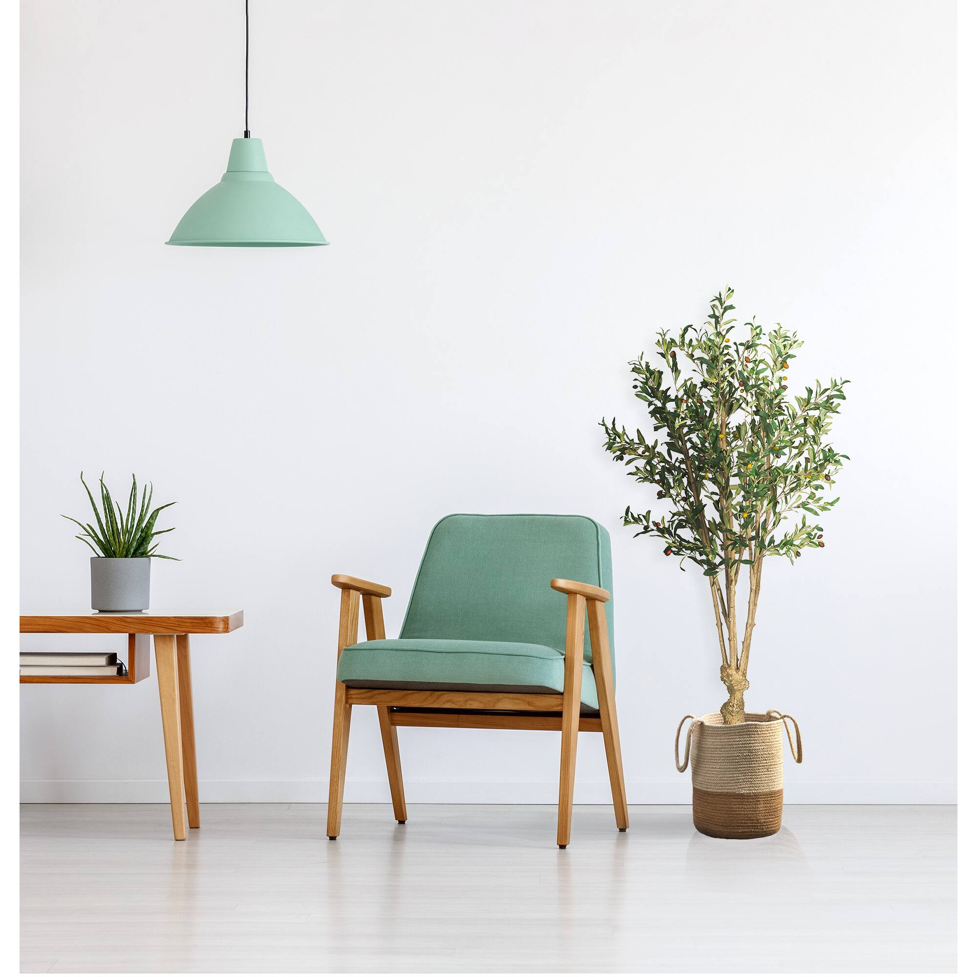 5ft. Potted Olive Tree