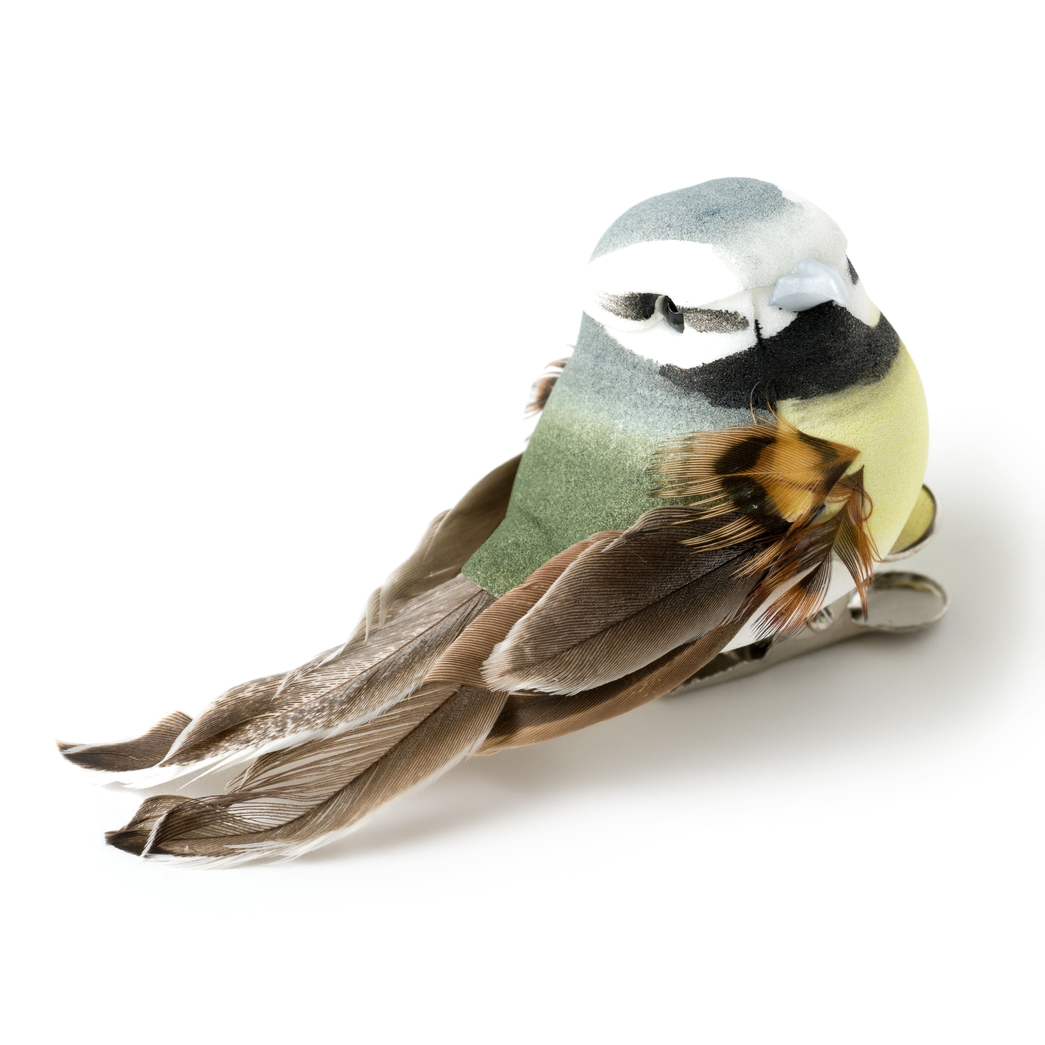 bird mushroom