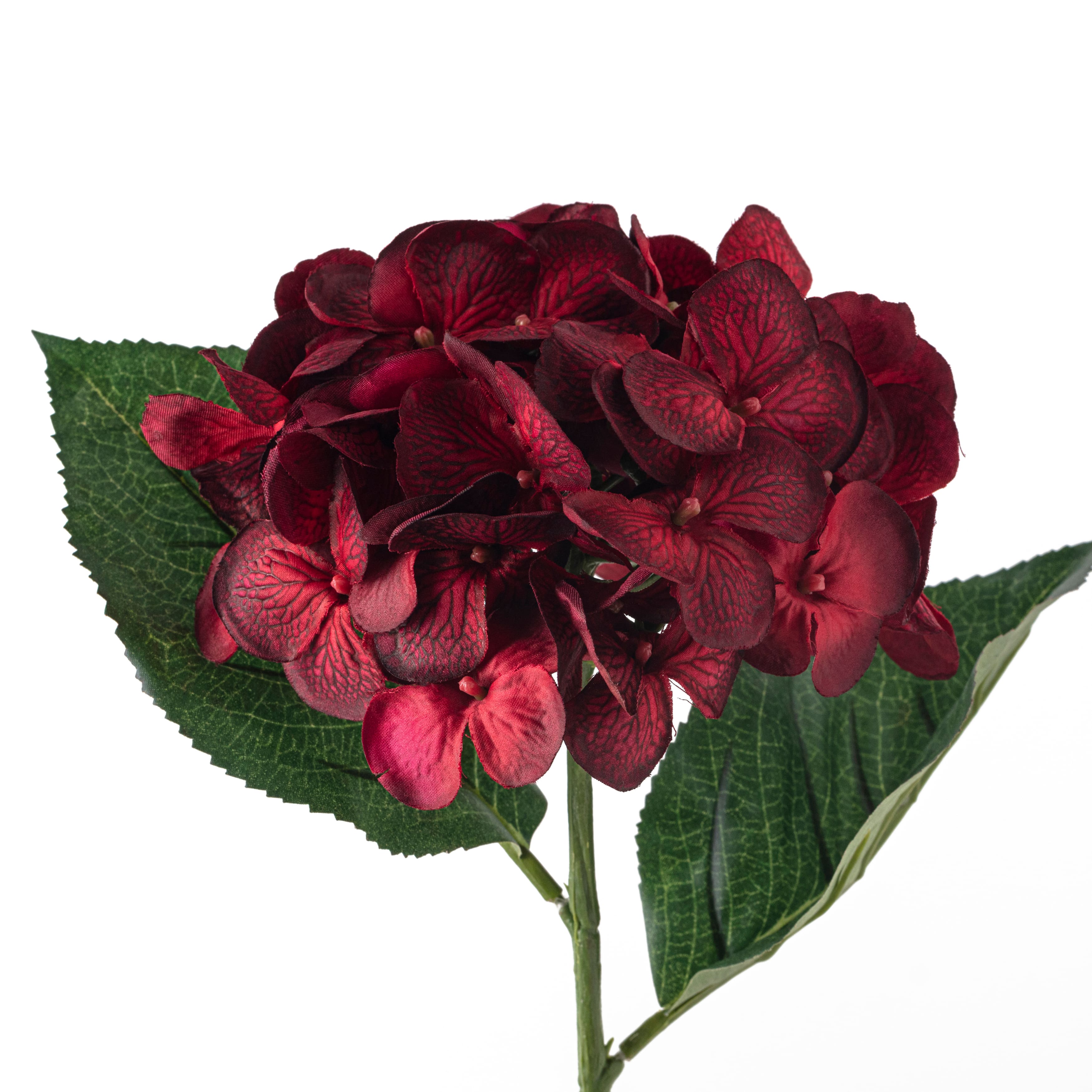 12 Pack: Burgundy Hydrangea Stem by Ashland&#xAE;