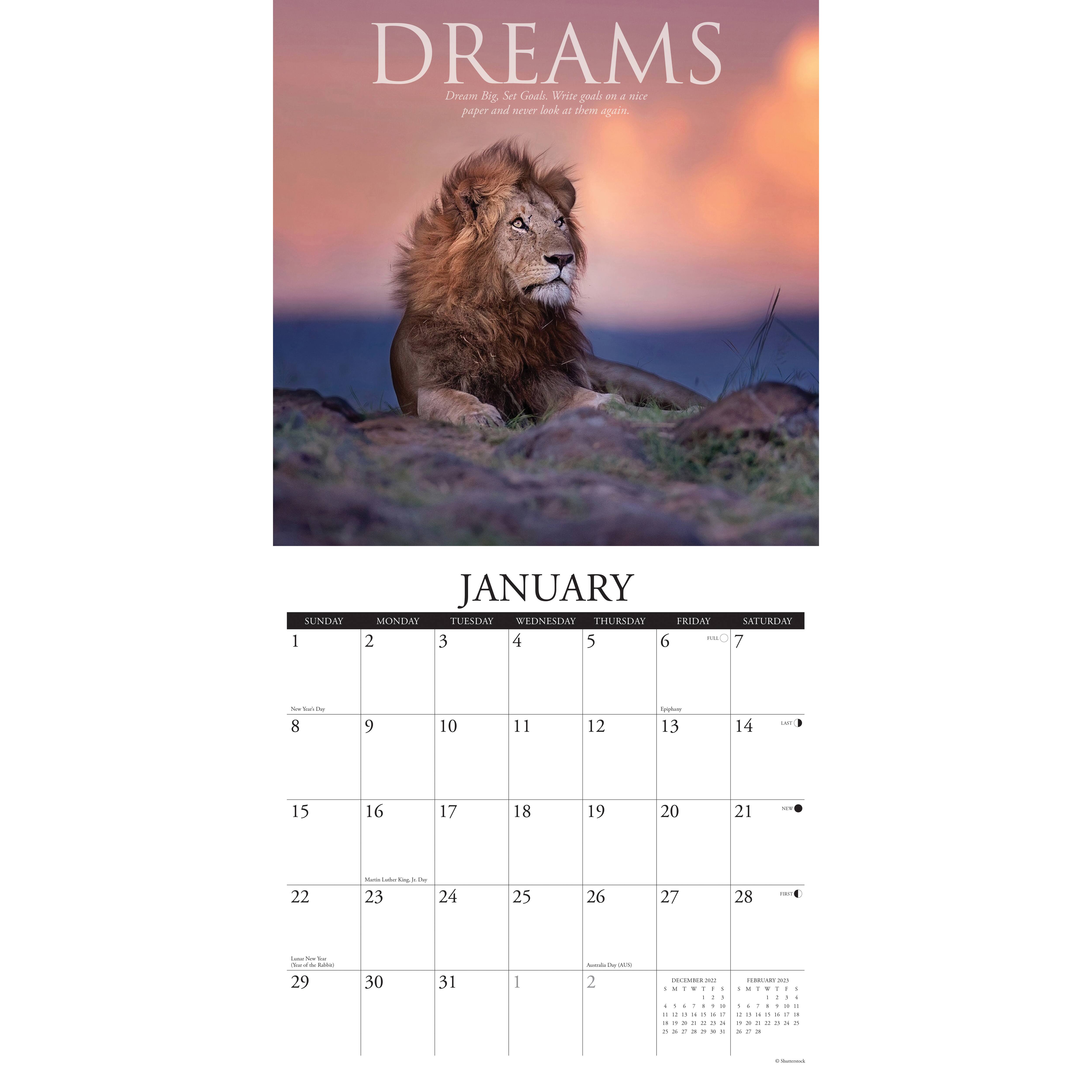 2023 Demotivationals Wall Calendar Wall Calendars Michaels