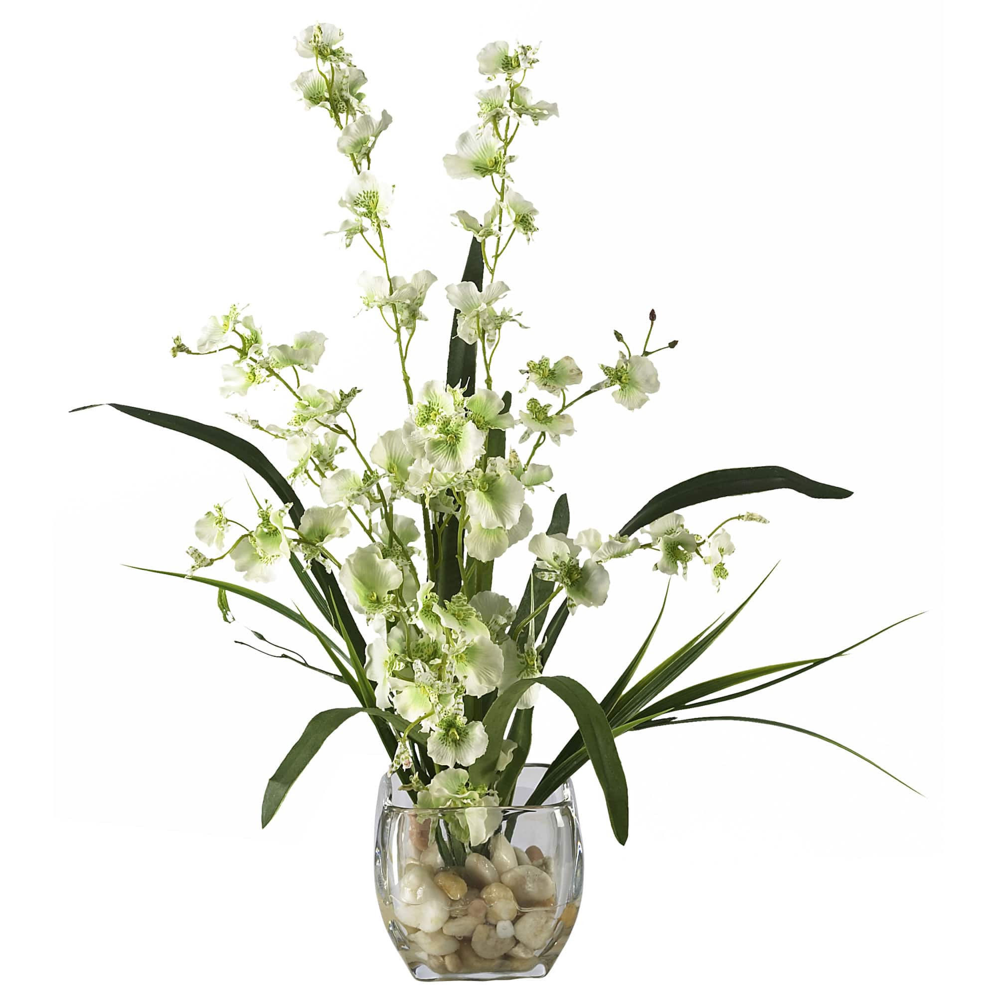 19" Green Dancing Lady Orchid Arrangement in Vase