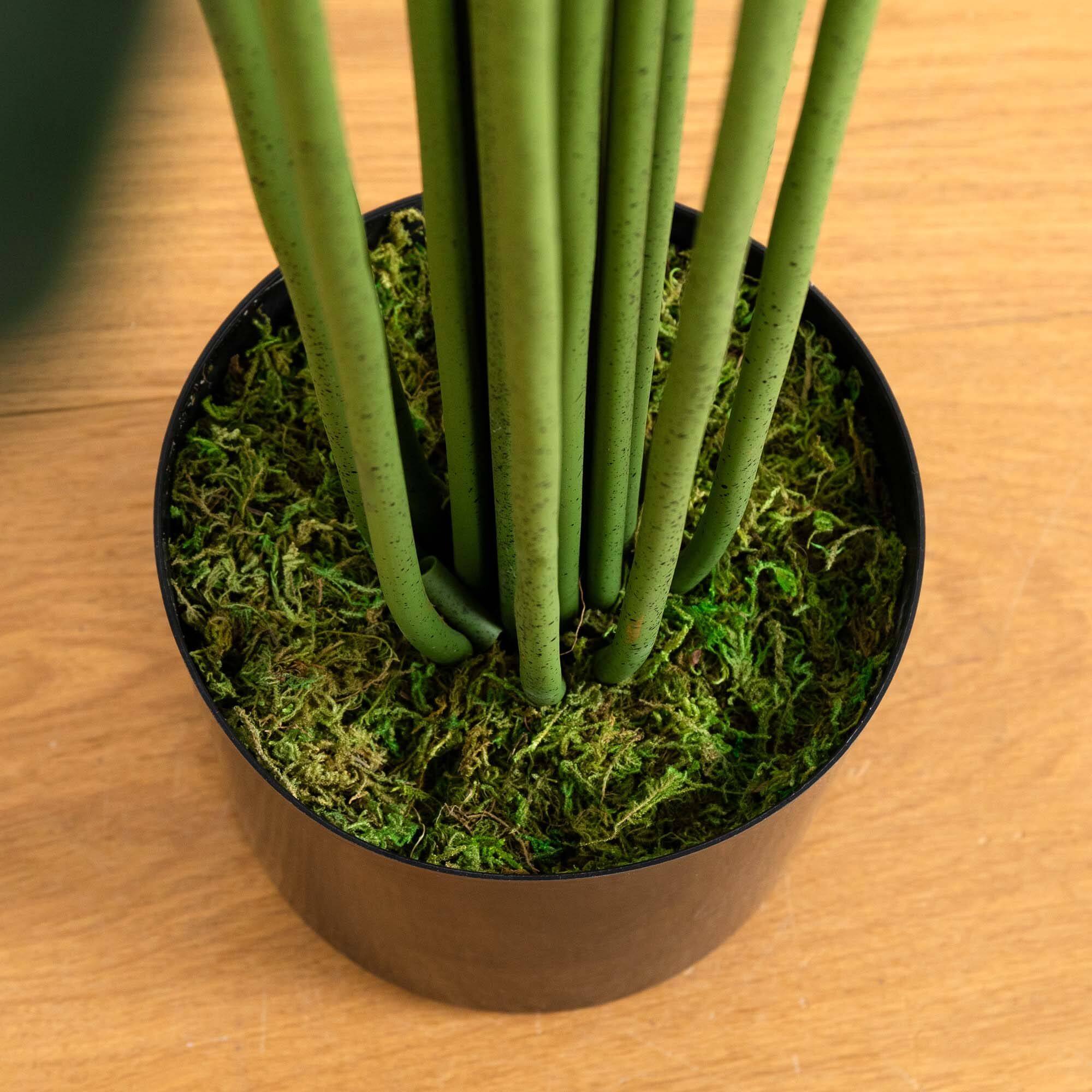 8ft. Potted Artificial Paradise Palm Tree