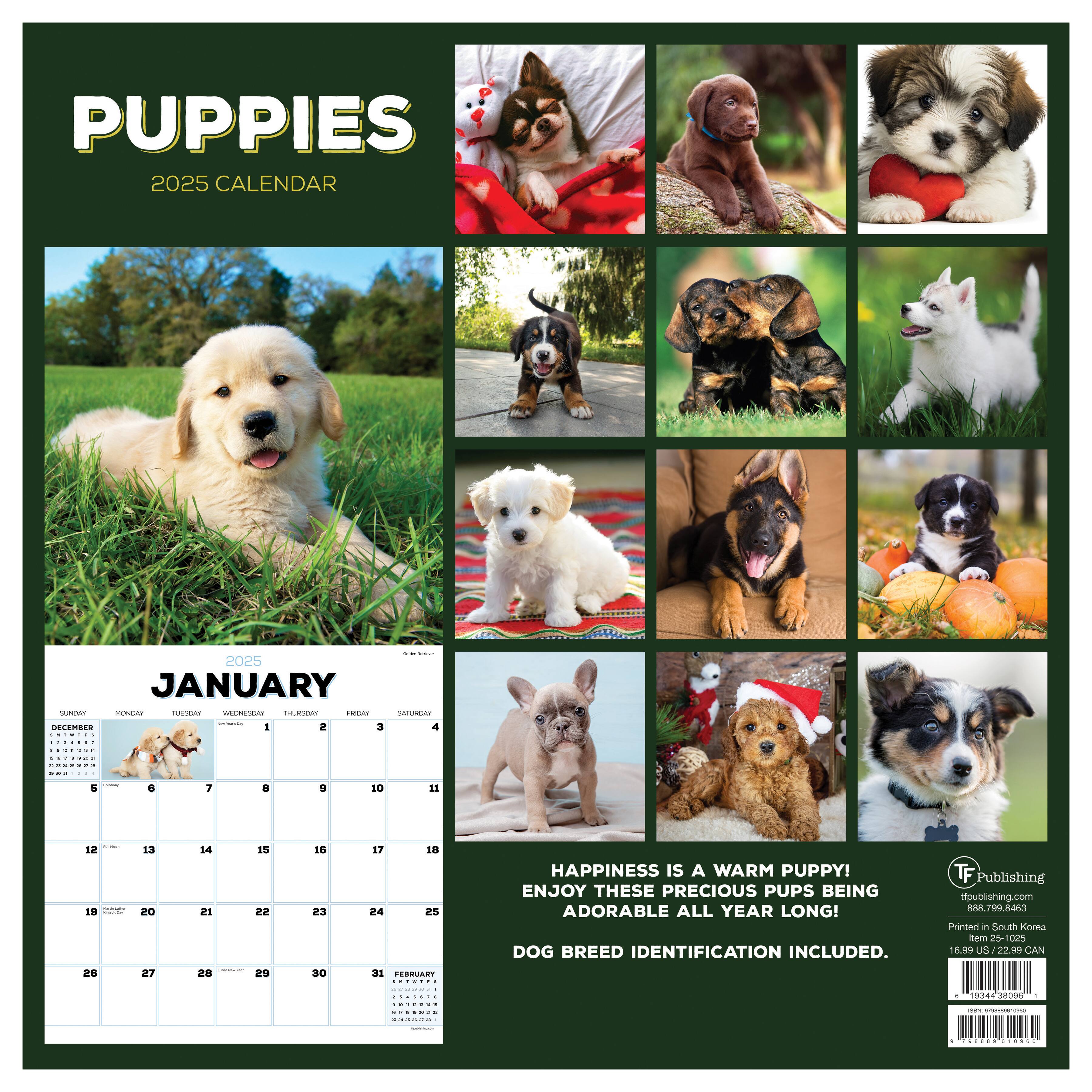 TF Publishing 2025 Puppies Wall Calendar