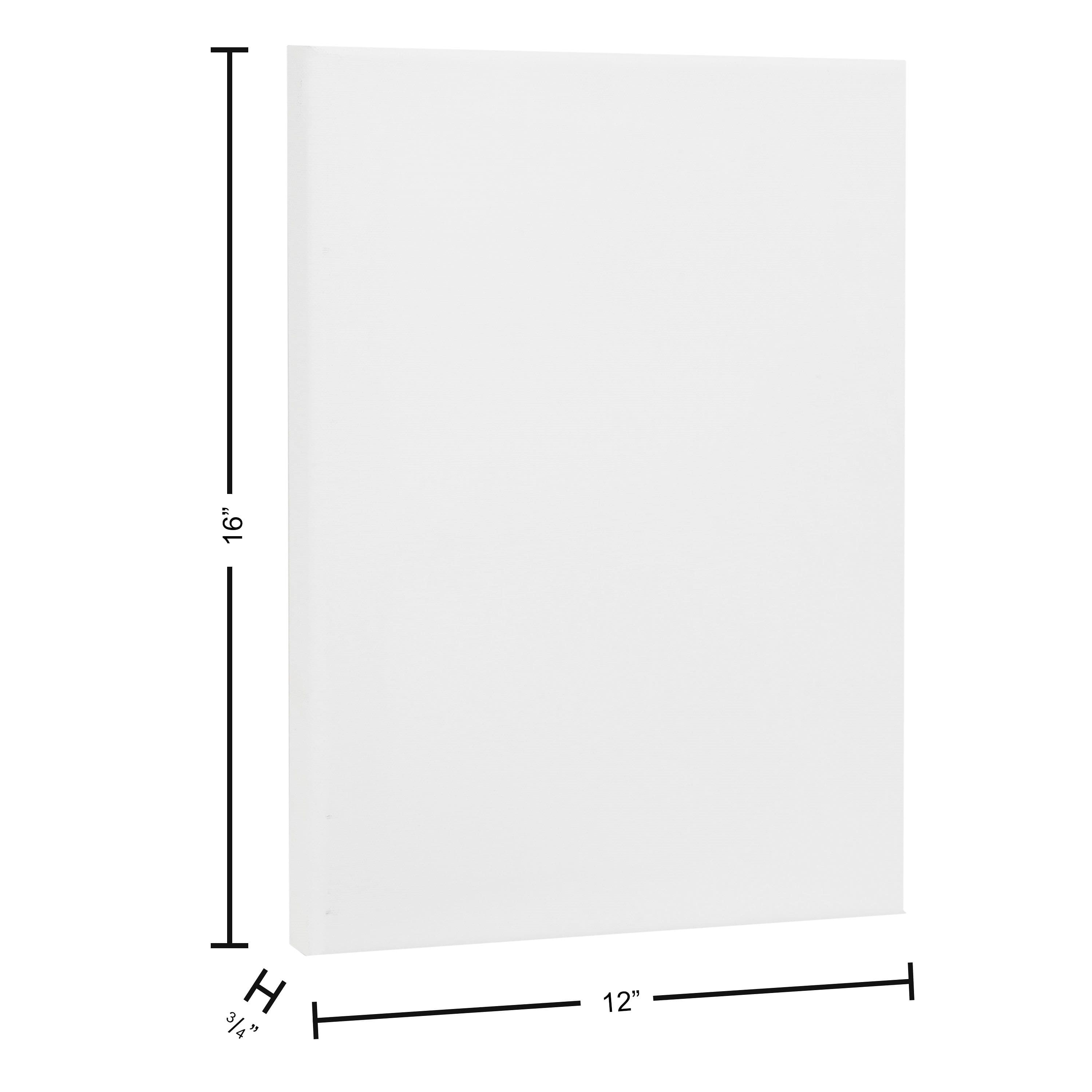 Art Advantage&#xAE; Visual Edge Artist Canvas