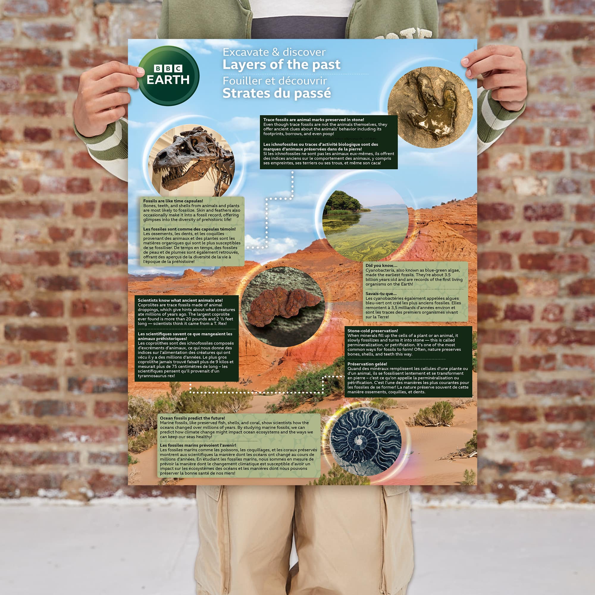 BBC Earth Excavate & Discover Layers of the Past