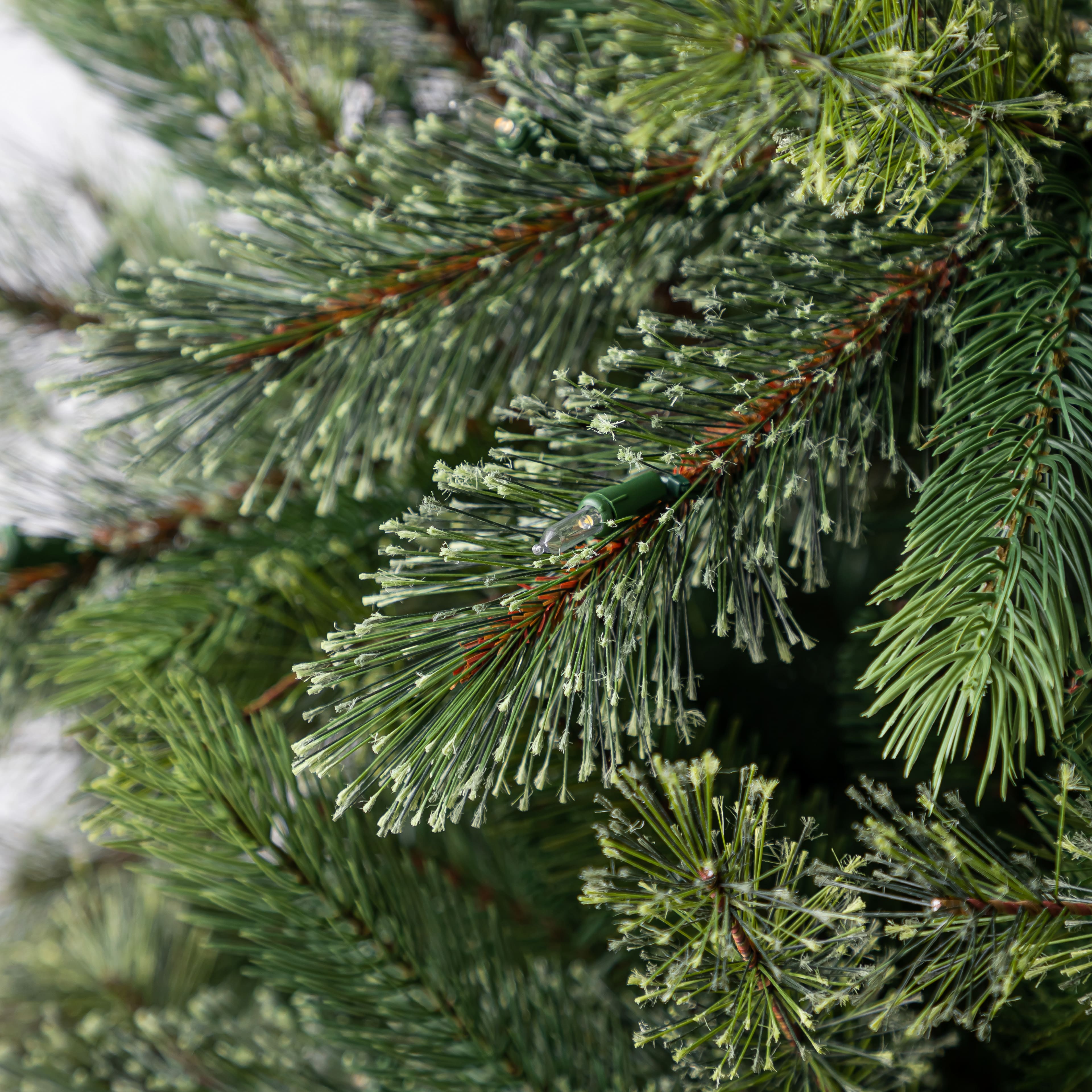 7.5ft. Pre-Lit Jackson Spruce Artificial Christmas Tree, Warm White LED Lights by Ashland&#xAE;