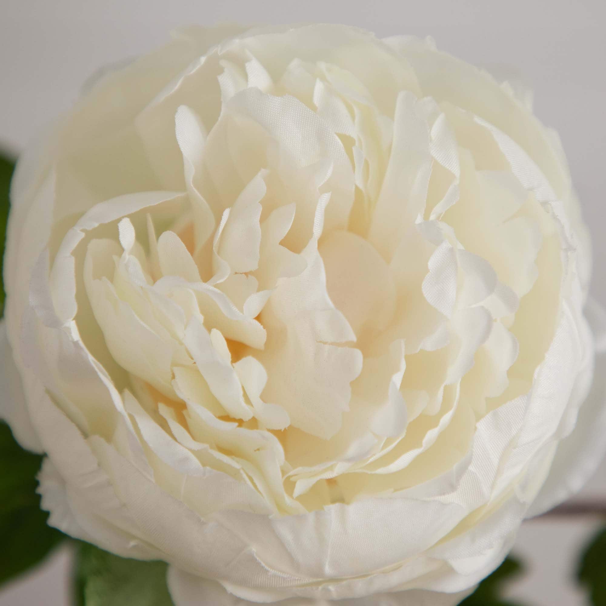 20&#x22; White Peony Flower Stems, 3ct.