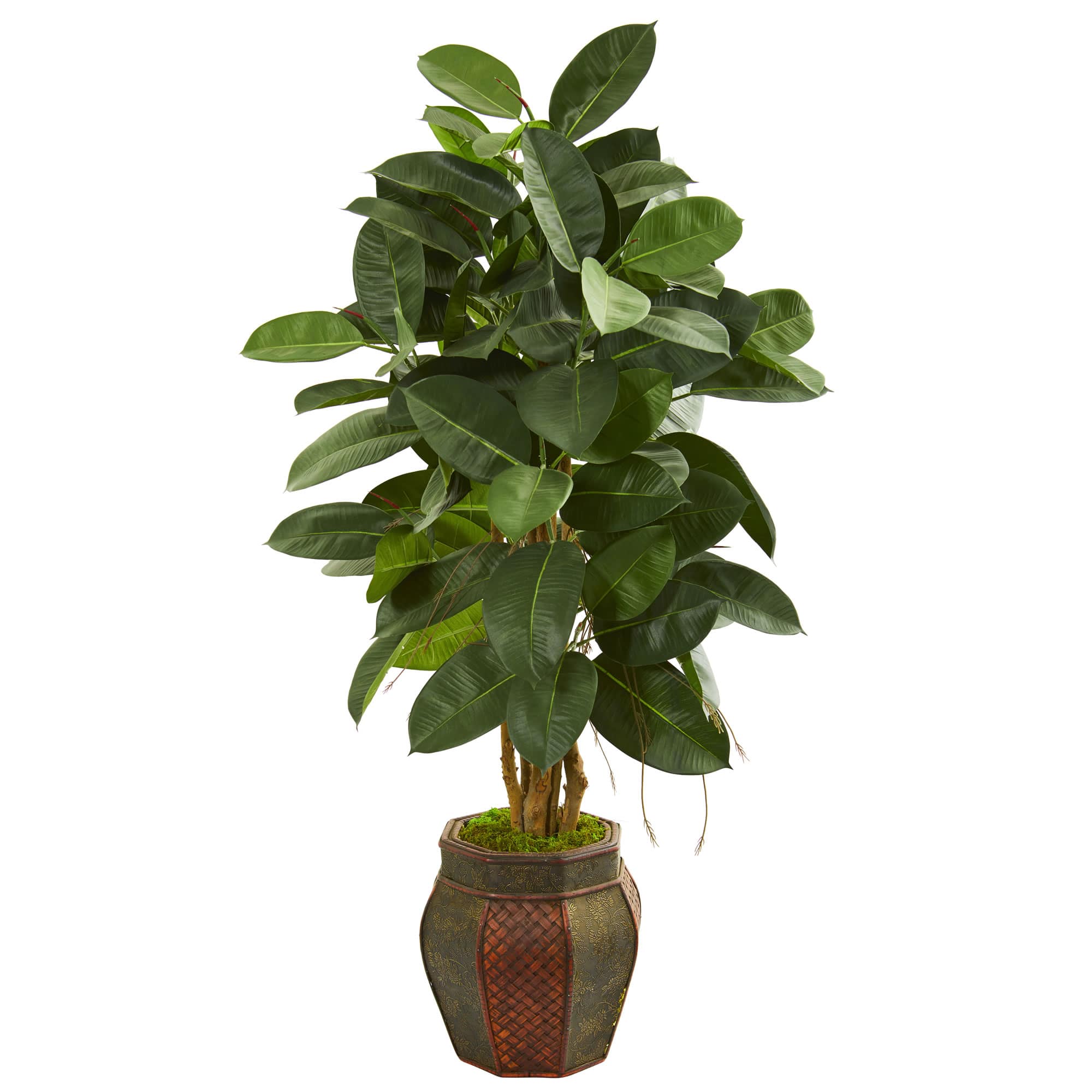 4.5ft. Rubber Leaf Tree in Decorative Planter