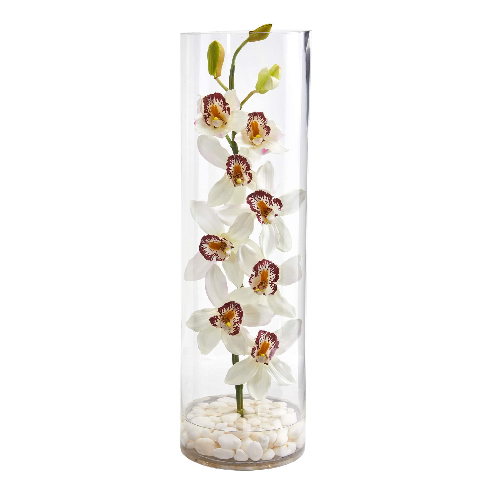 20" Boat Orchid Arrangement in Tall Cylinder Vase