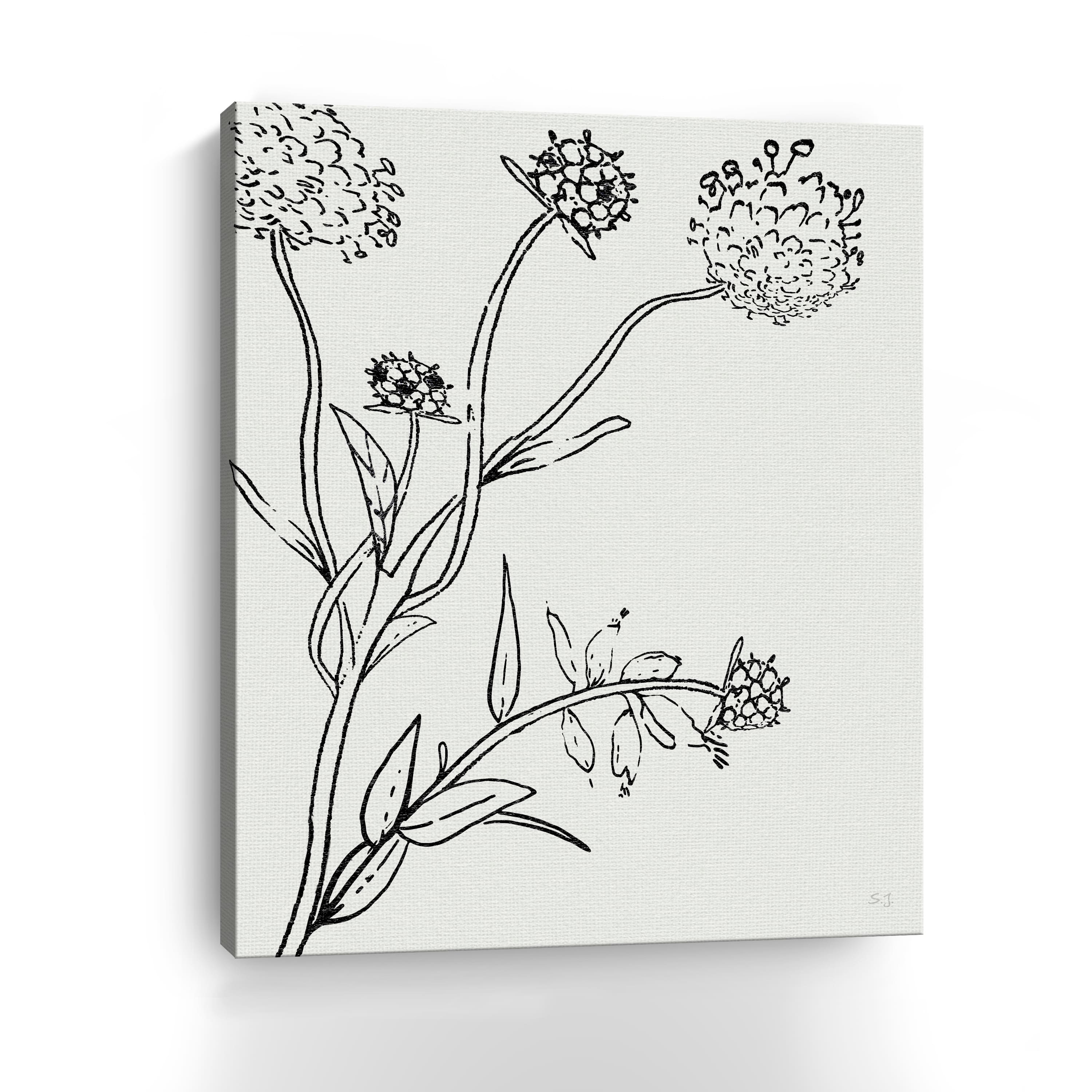 Botanical Study I Canvas Giclee