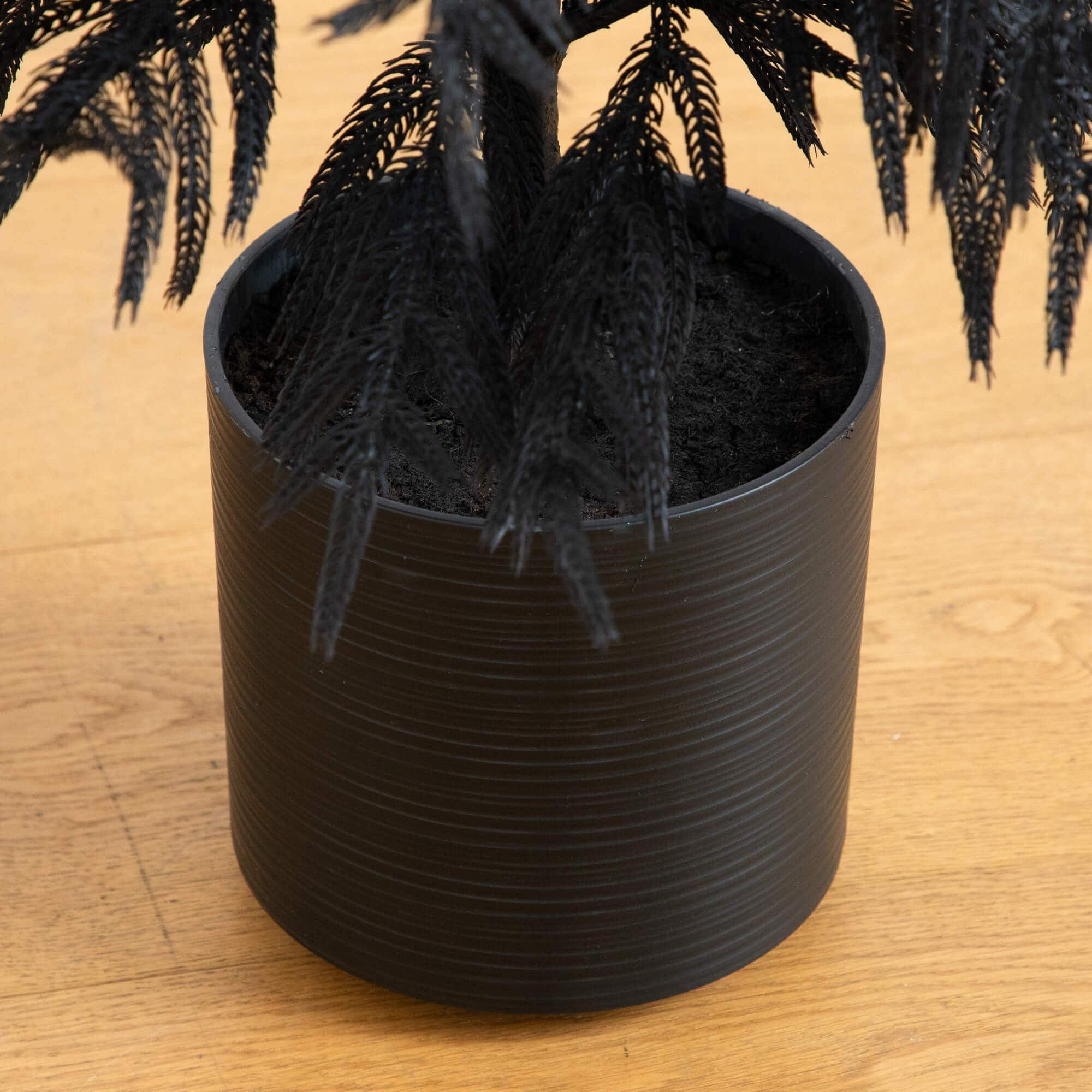 4ft. Artificial Halloween Real Touch Black Norfolk Pine Christmas Tree with Natural Look