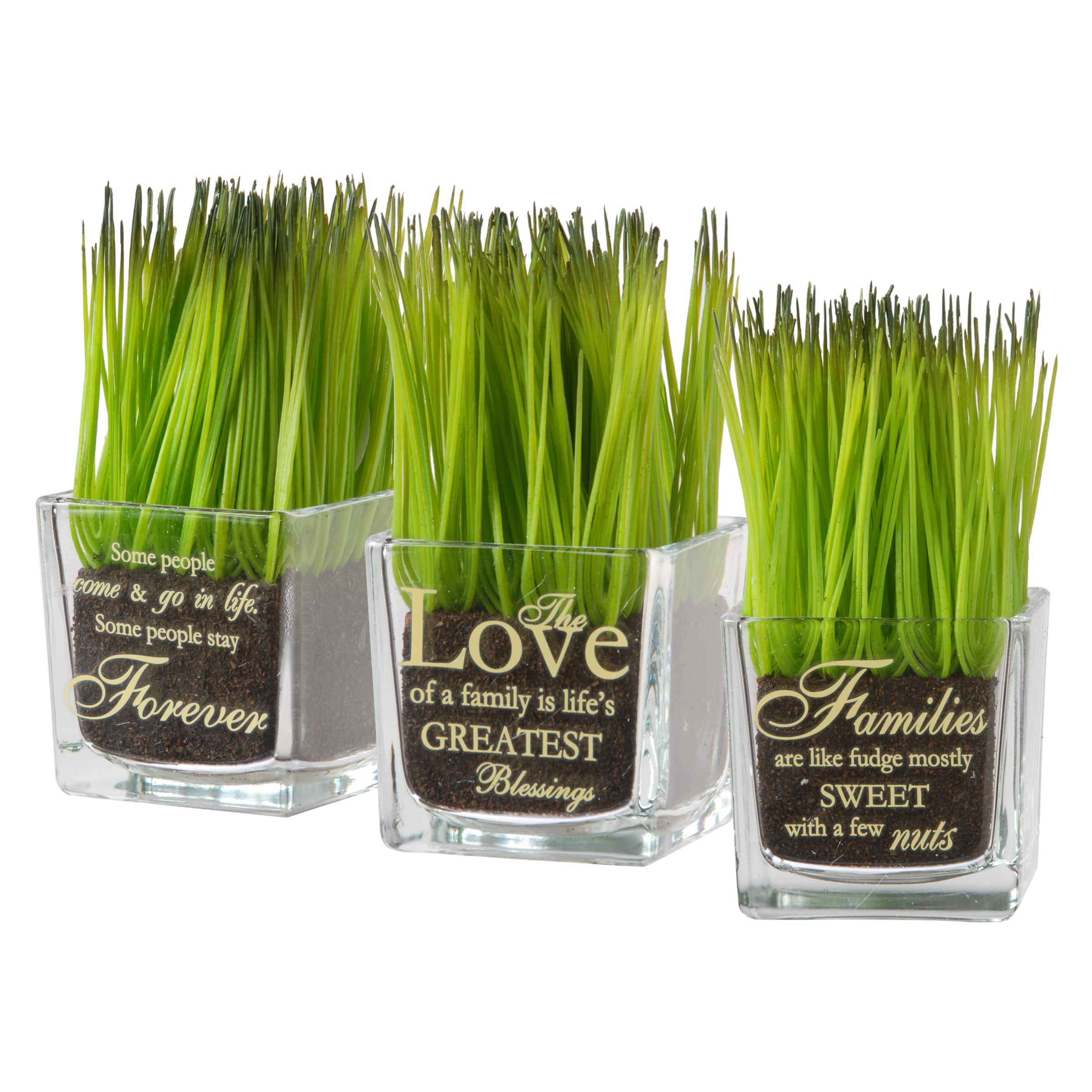 3-Piece Square Sprout-Filled Glass Assortment