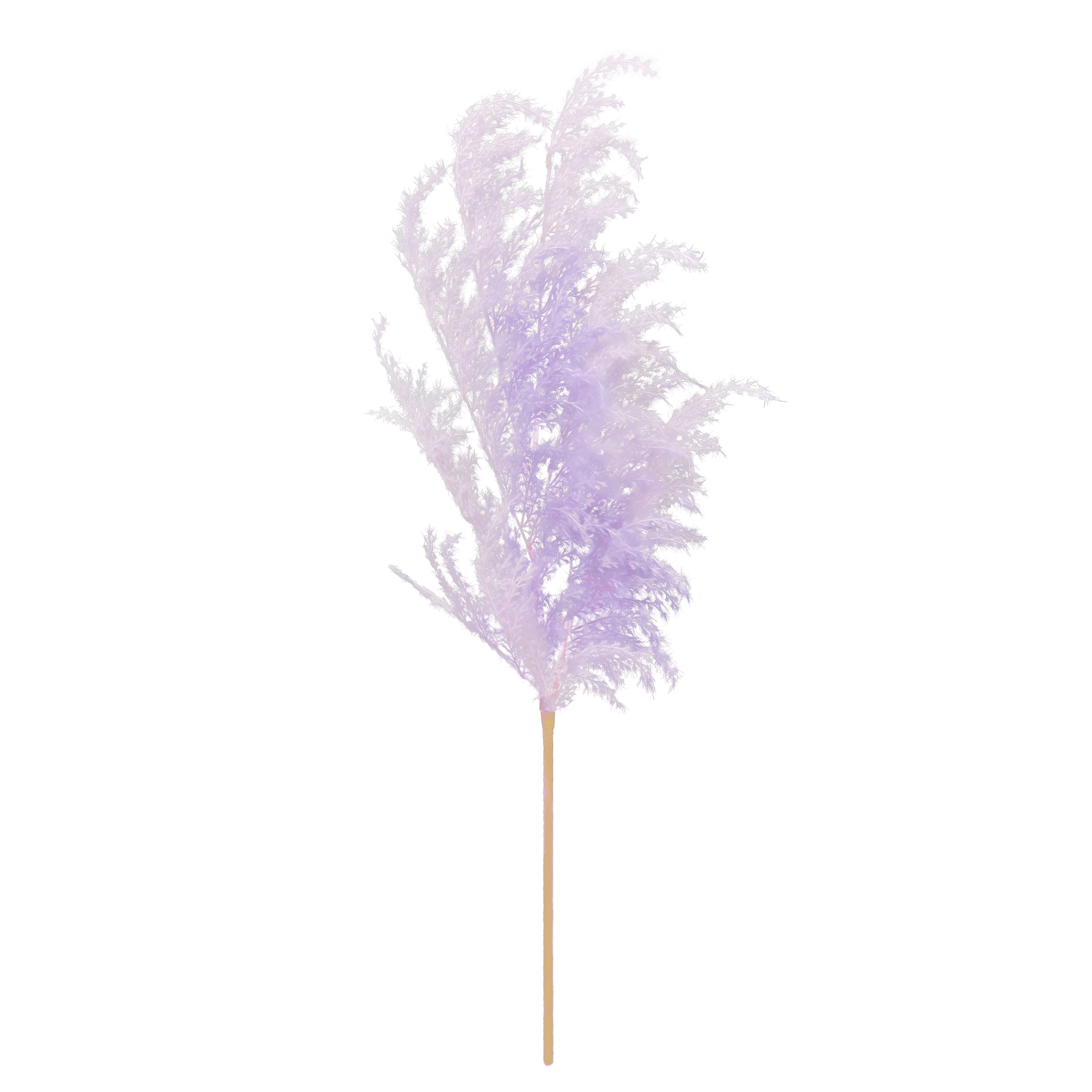 Purple Pampas Stem by Ashland&#xAE;