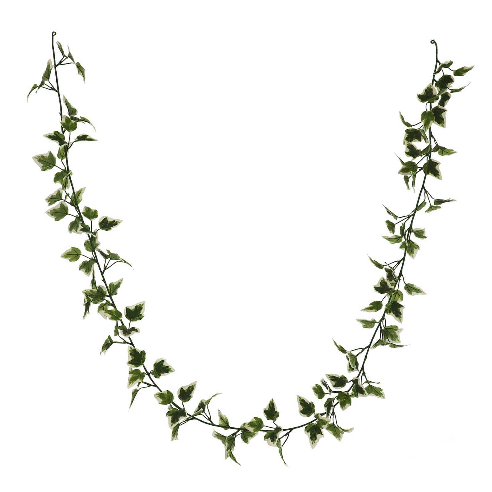 6ft. Variegated Ivy Garland by Ashland&#xAE;