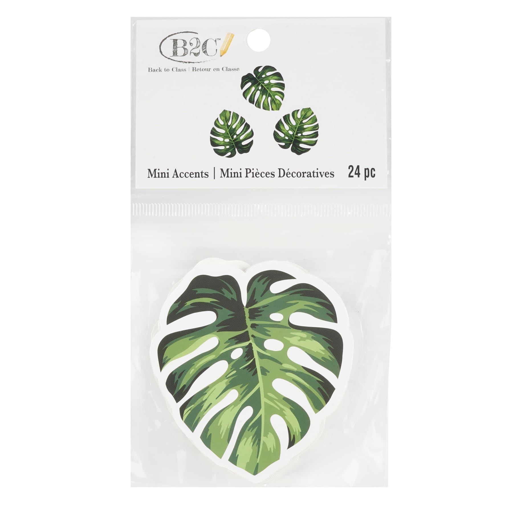 Back to Class Mini Die Cut Monstera Leaf Accents