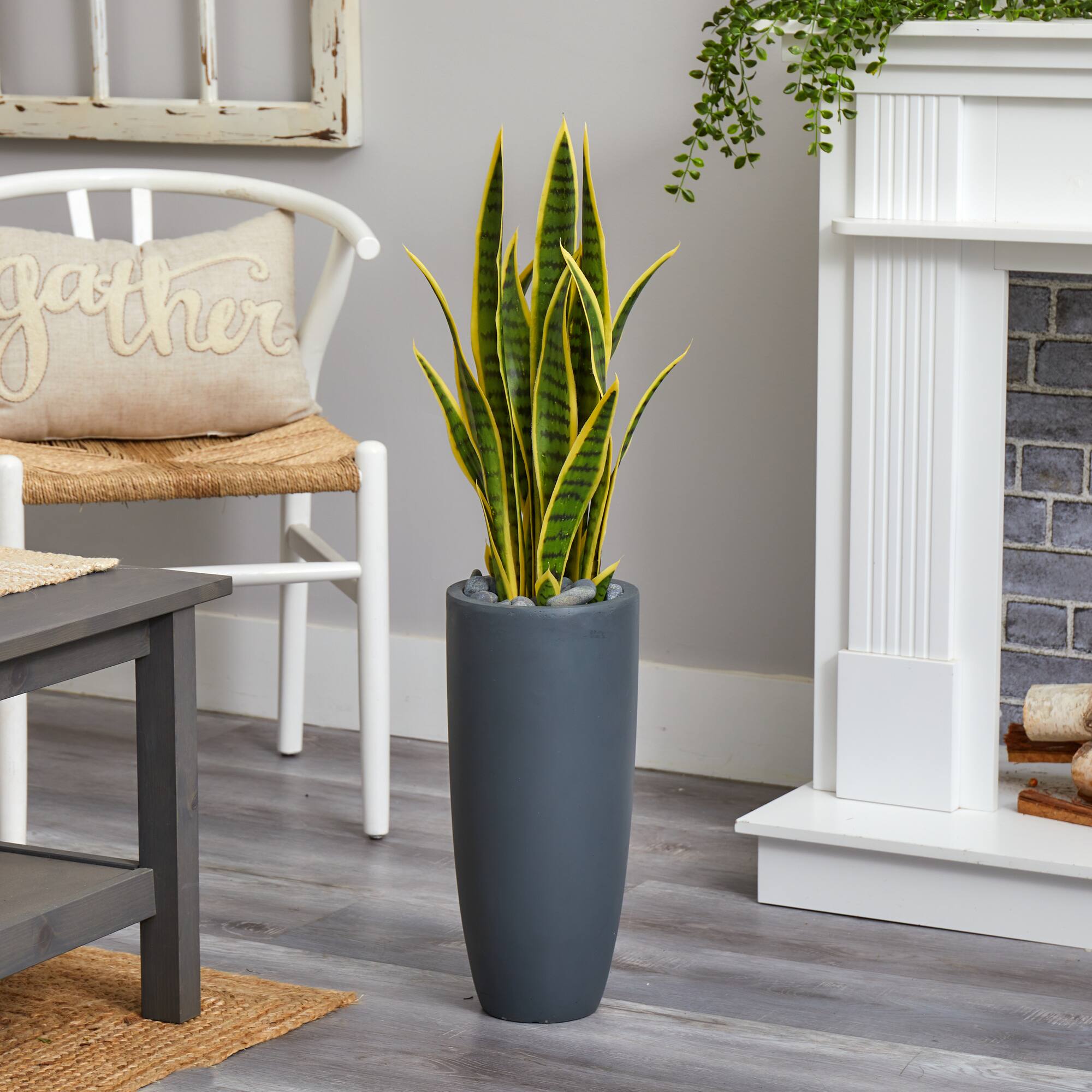 3ft. Sansevieria Plant in Gray Planter