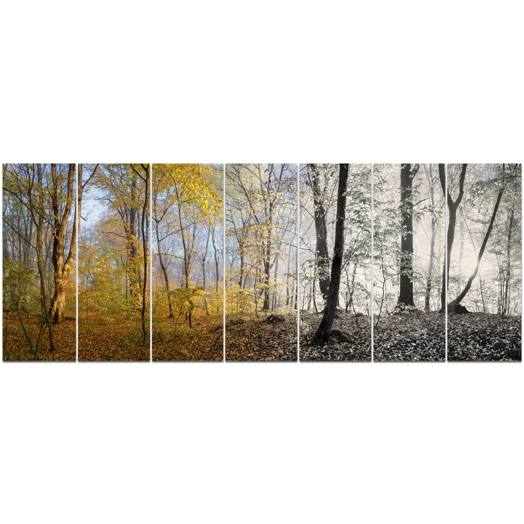 Designart - Yellow Morning in Forest Panorama - Landscape Canvas Art Print